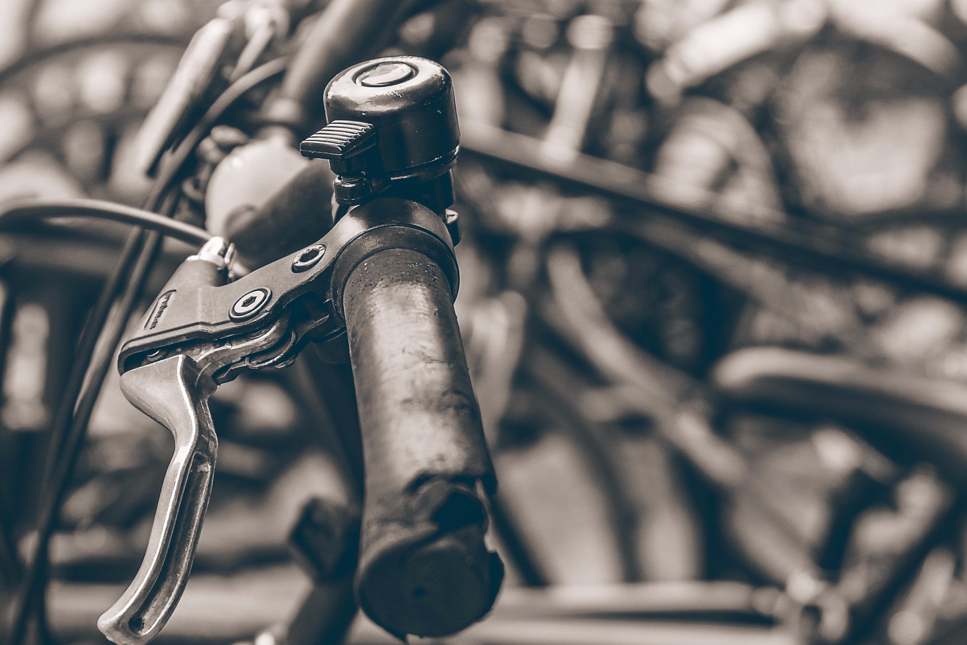 Royal Bike Food Tour Amsterdam