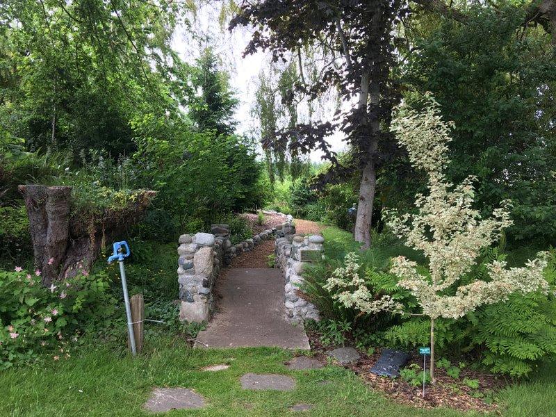 Photo by cantilyrose