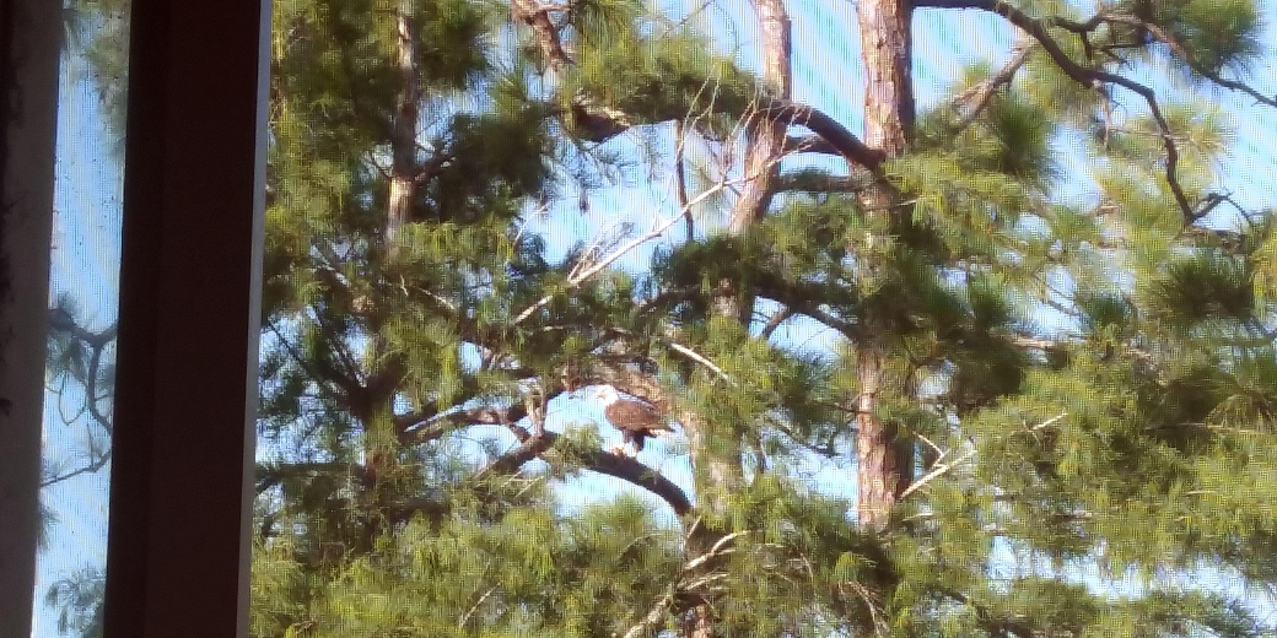 Photo by ninatherealtor