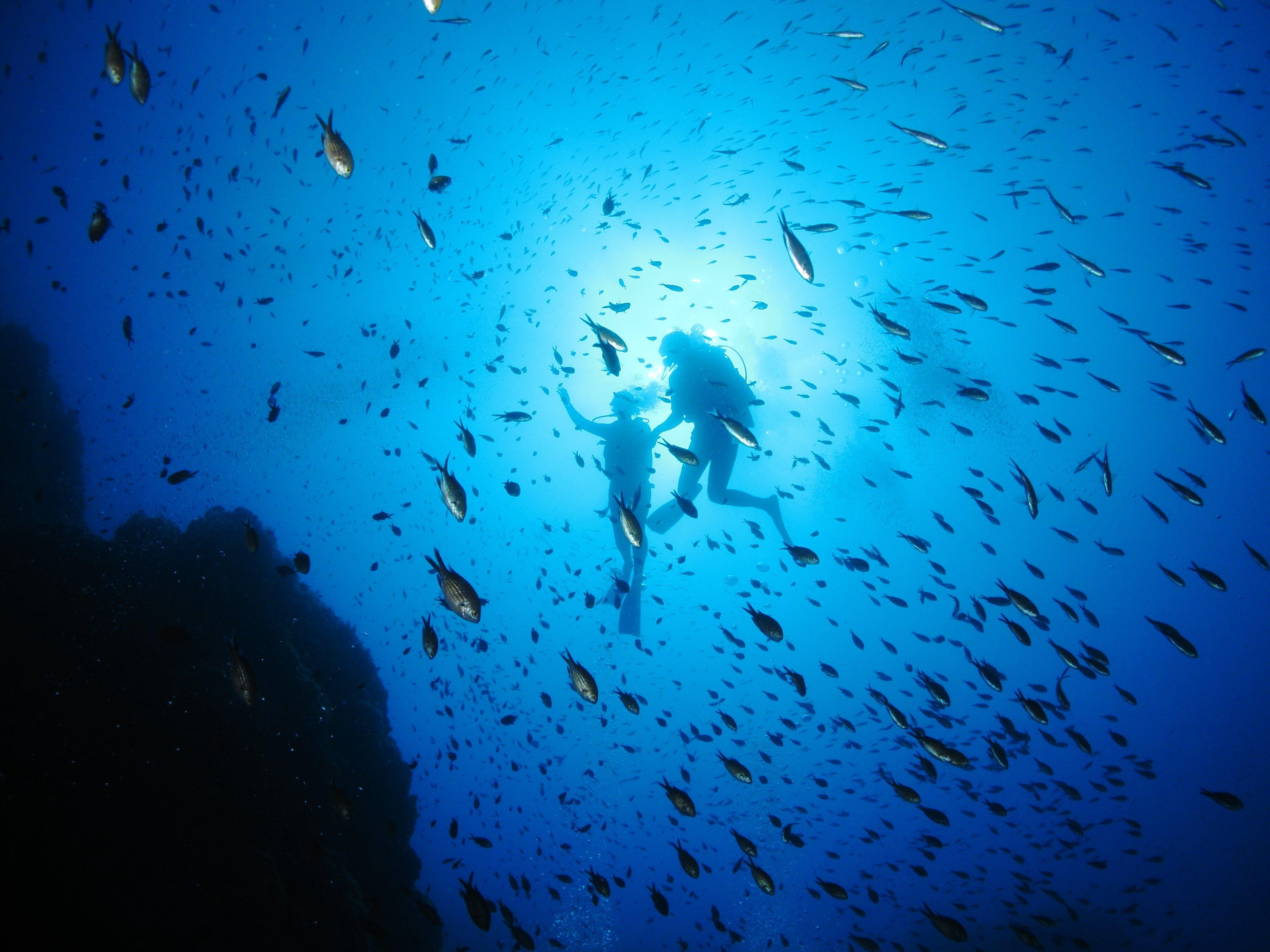 Passion Scuba Diving