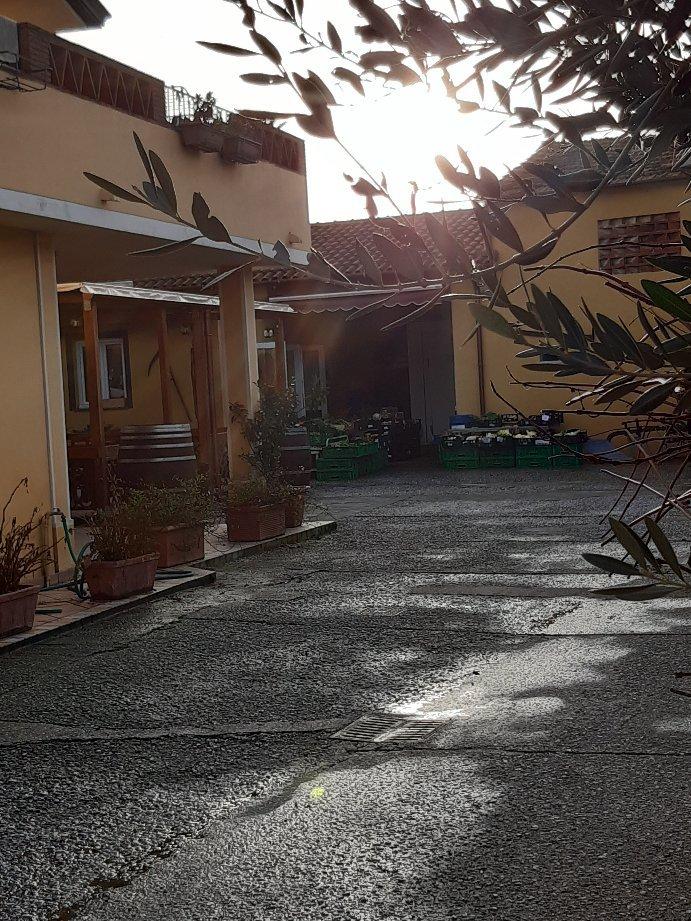 Azienda Agricola La Corte de' Volpe