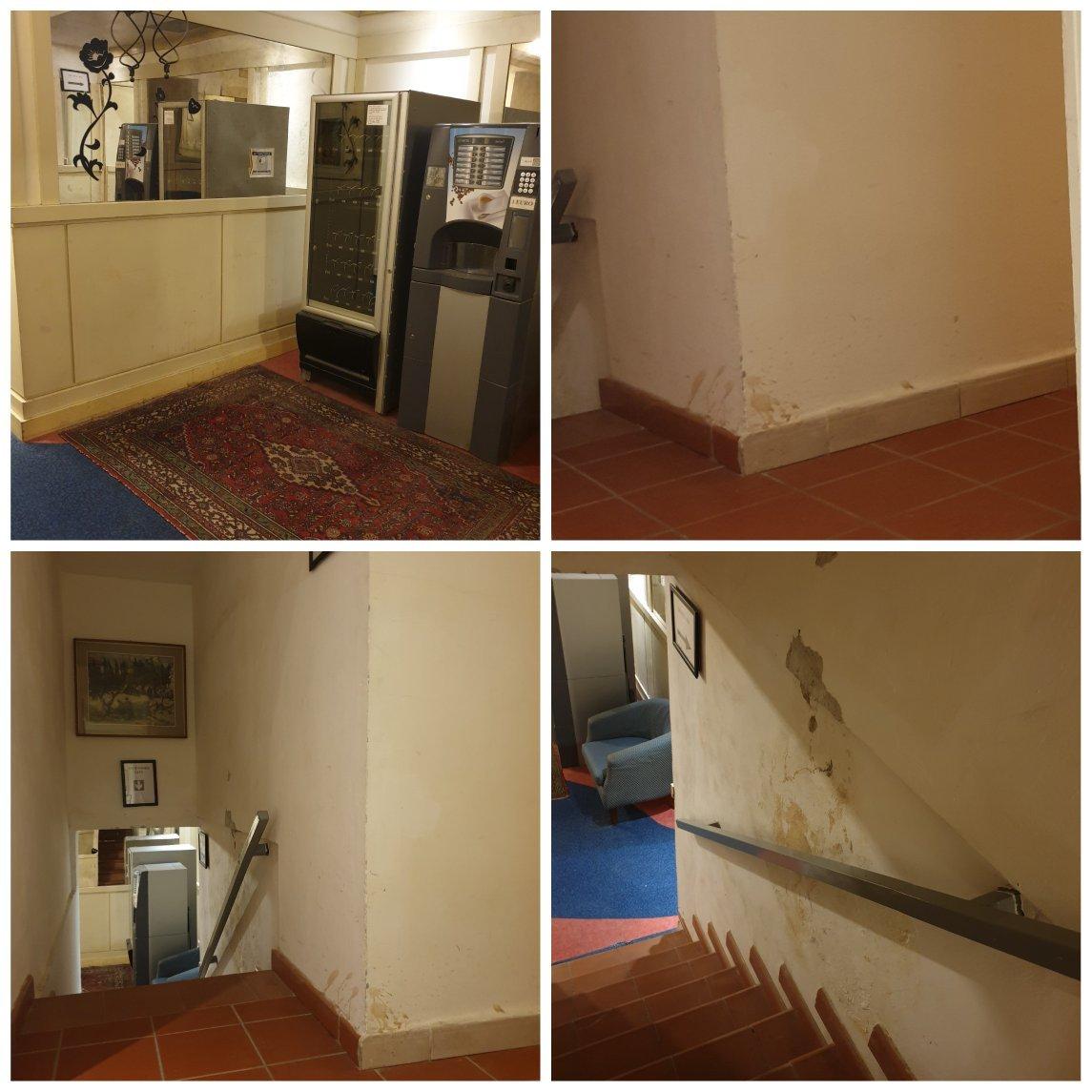 Photo by ElianaVoigt