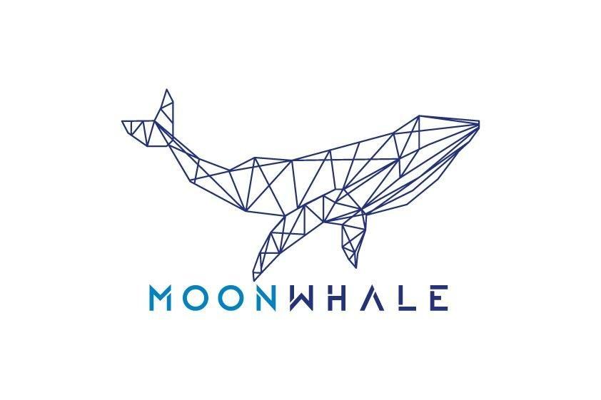 Moonwhale STO Consuting Services