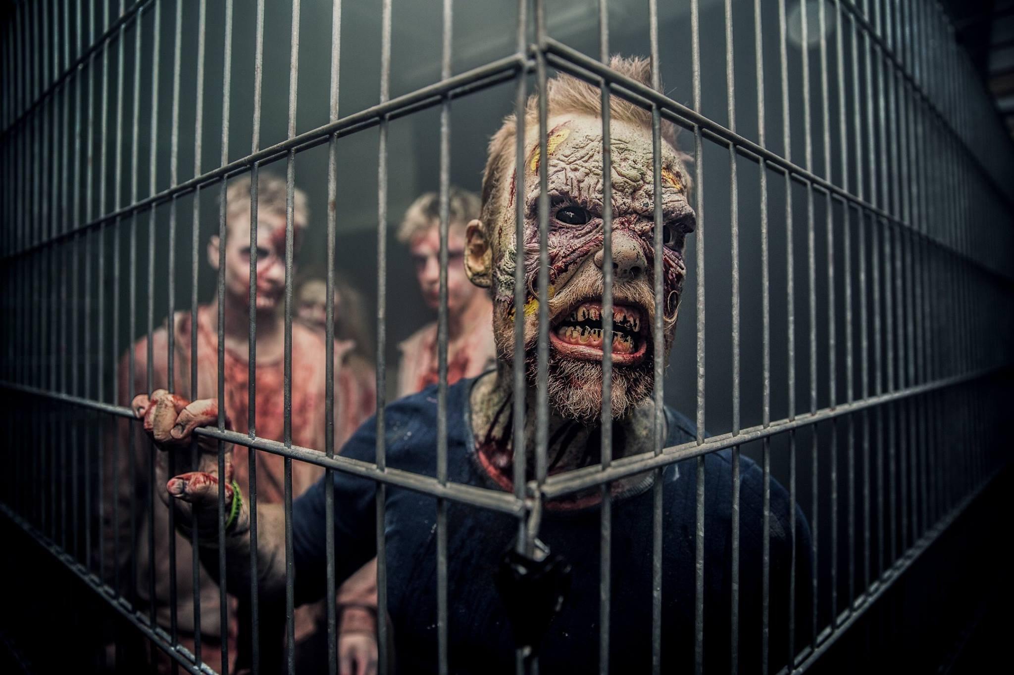 Dystopia Entertainment