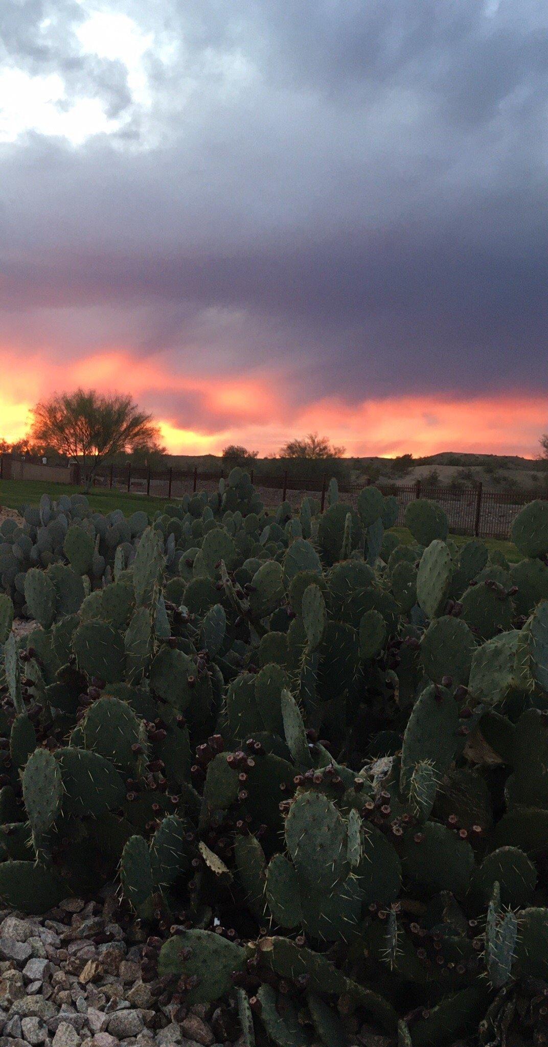 Photo by MarilynB1313