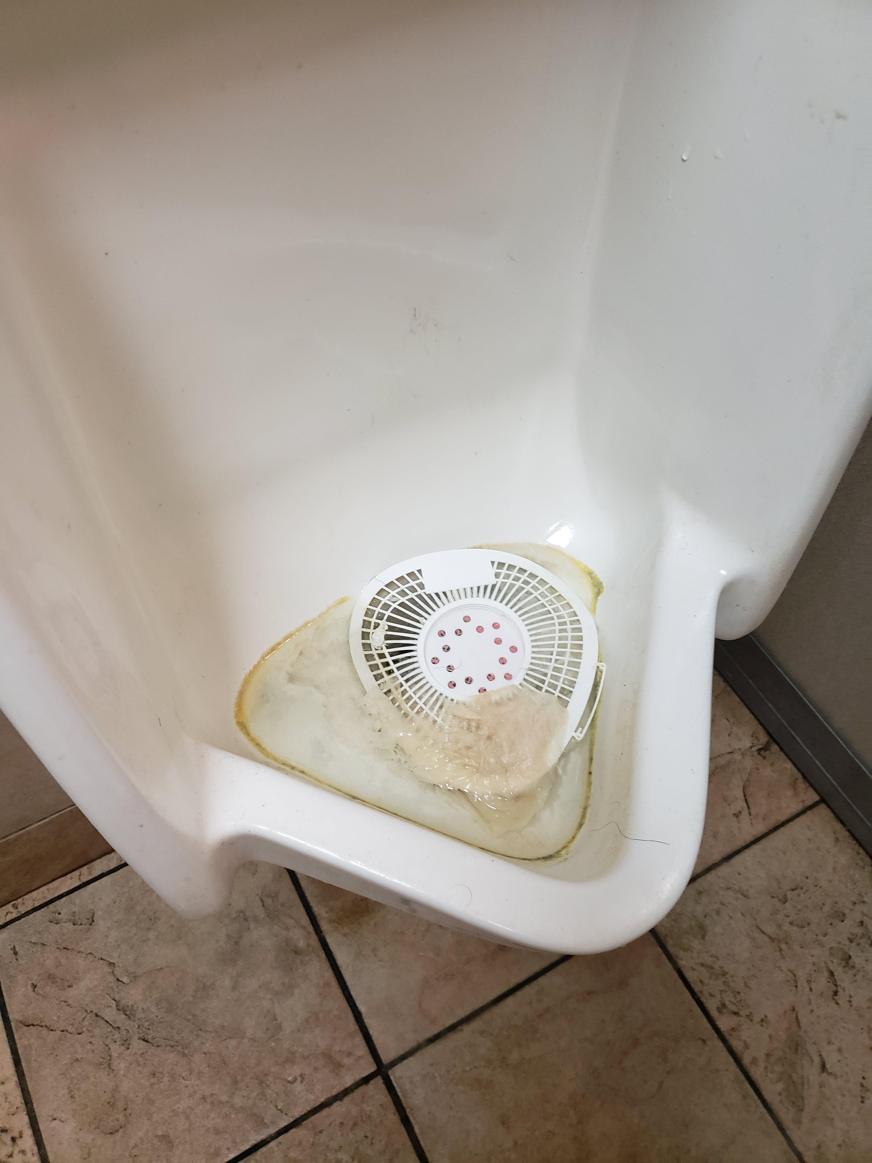 Photo by J8831PJpatricka