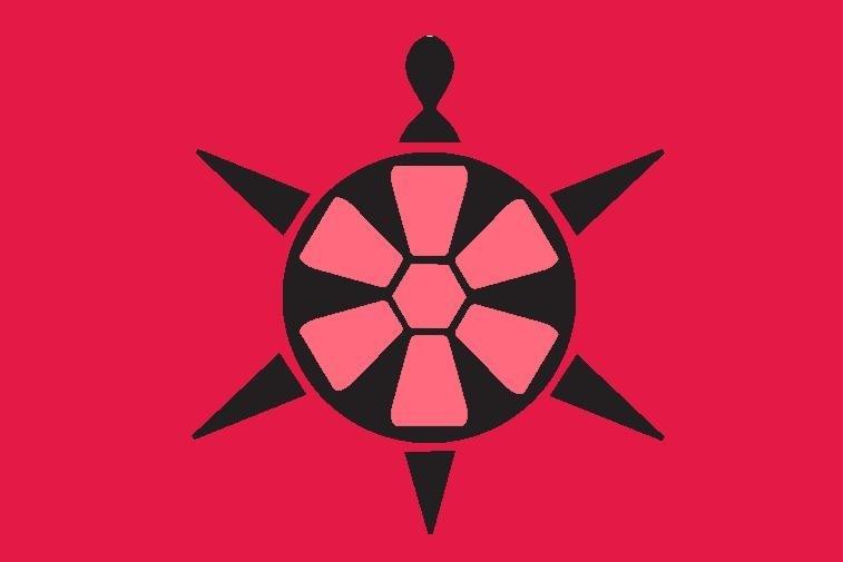 Belgrade Turtle Cruise