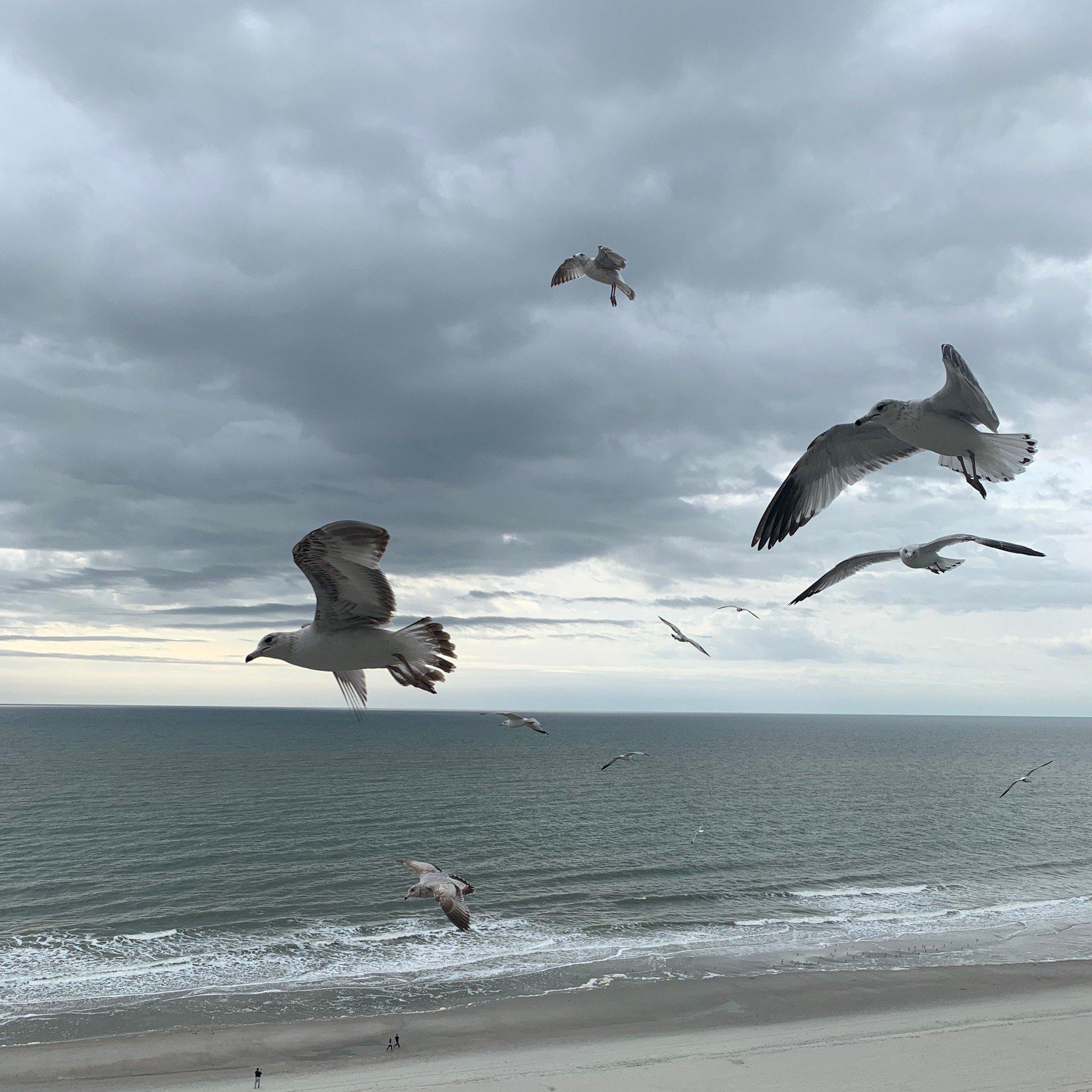 Photo by DrEvilDetroit