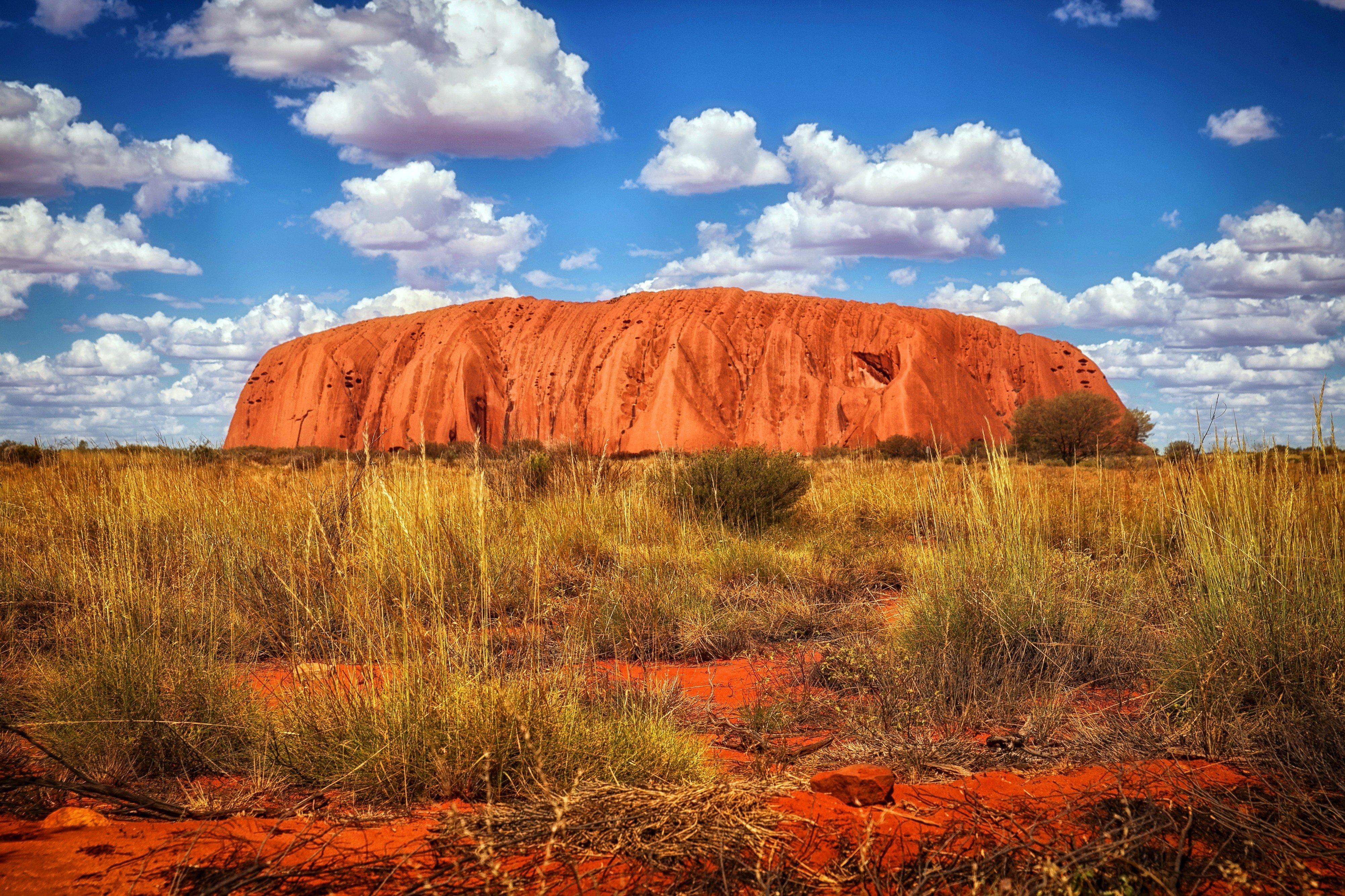 Emu Run Experience - Day Tours