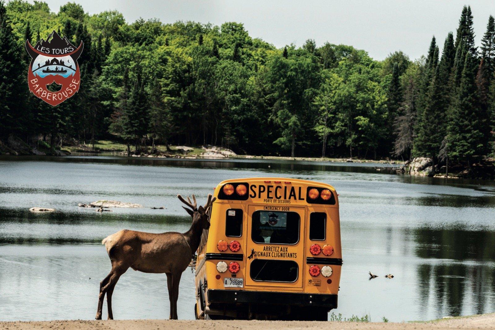 Les Tours Barberousse