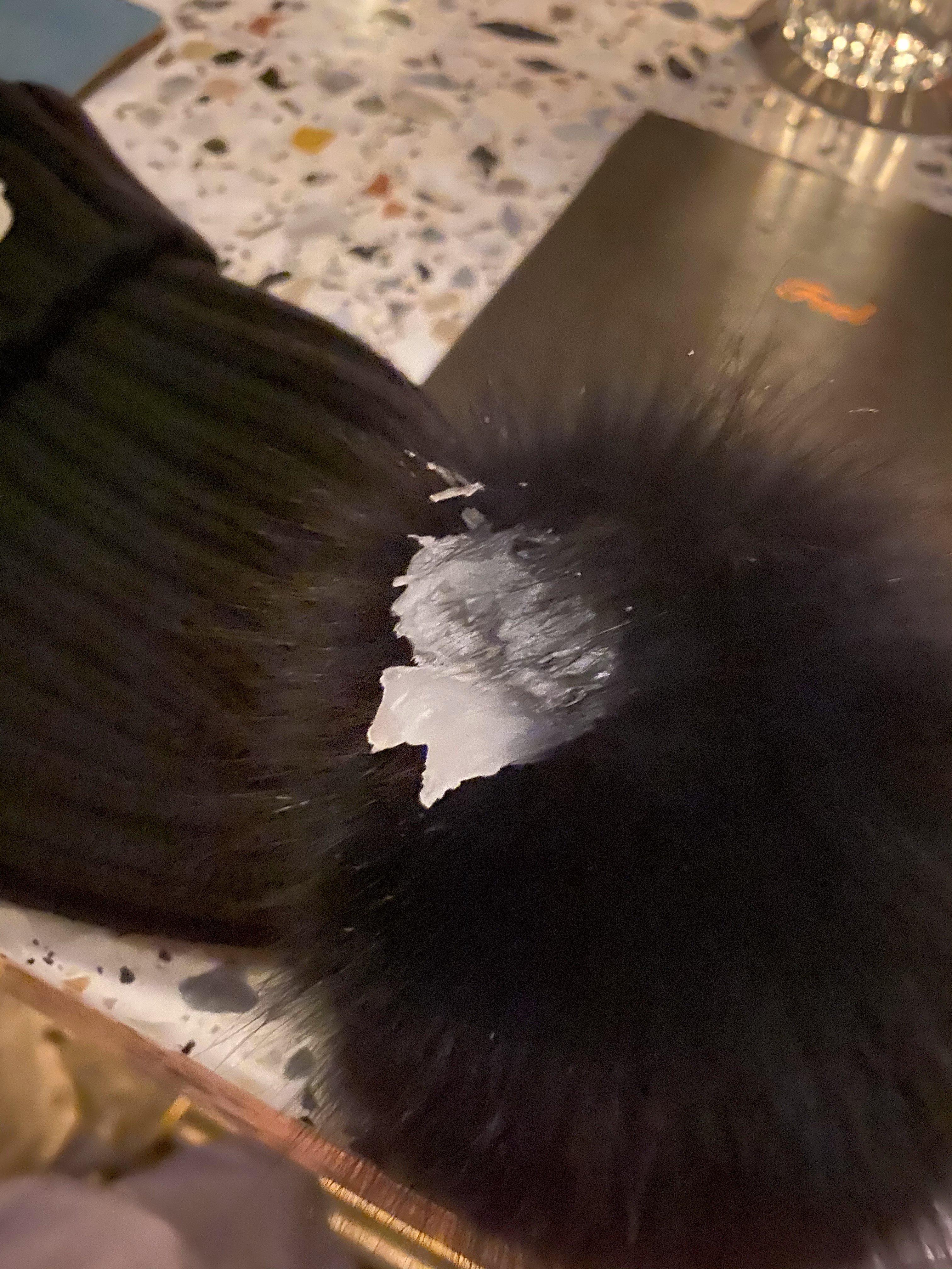 Photo by shannonbD2108GC