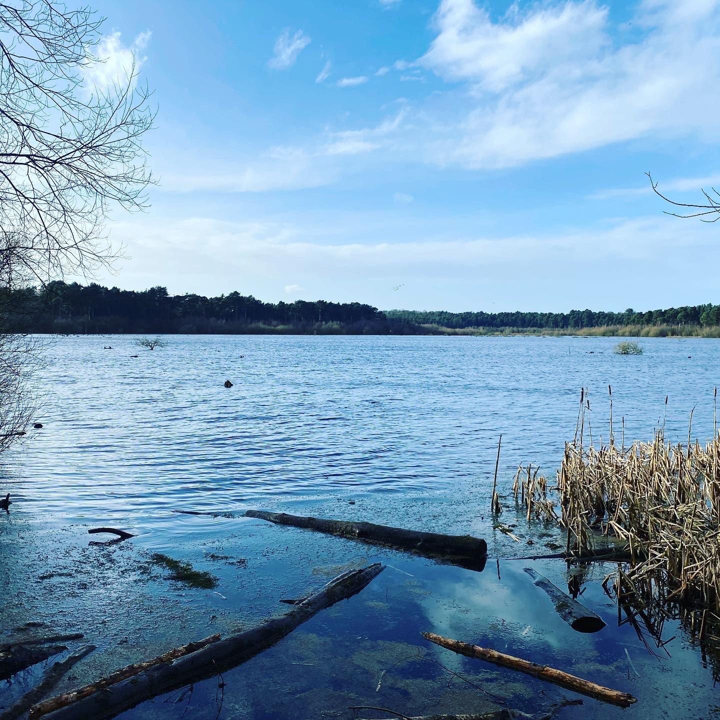 Delamere Camping and Caravanning Club Site