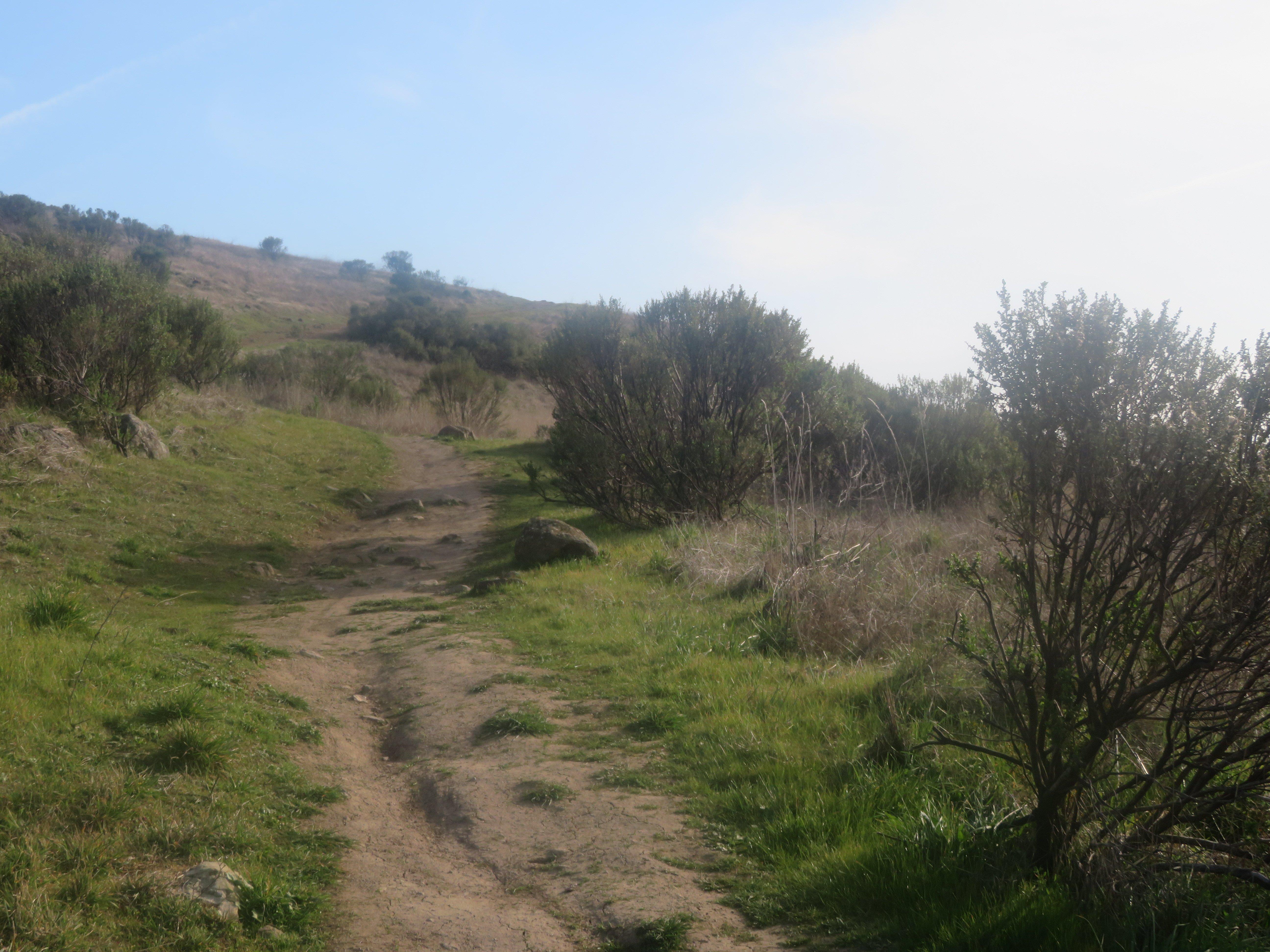 Russian Ridge Open Space Reserve