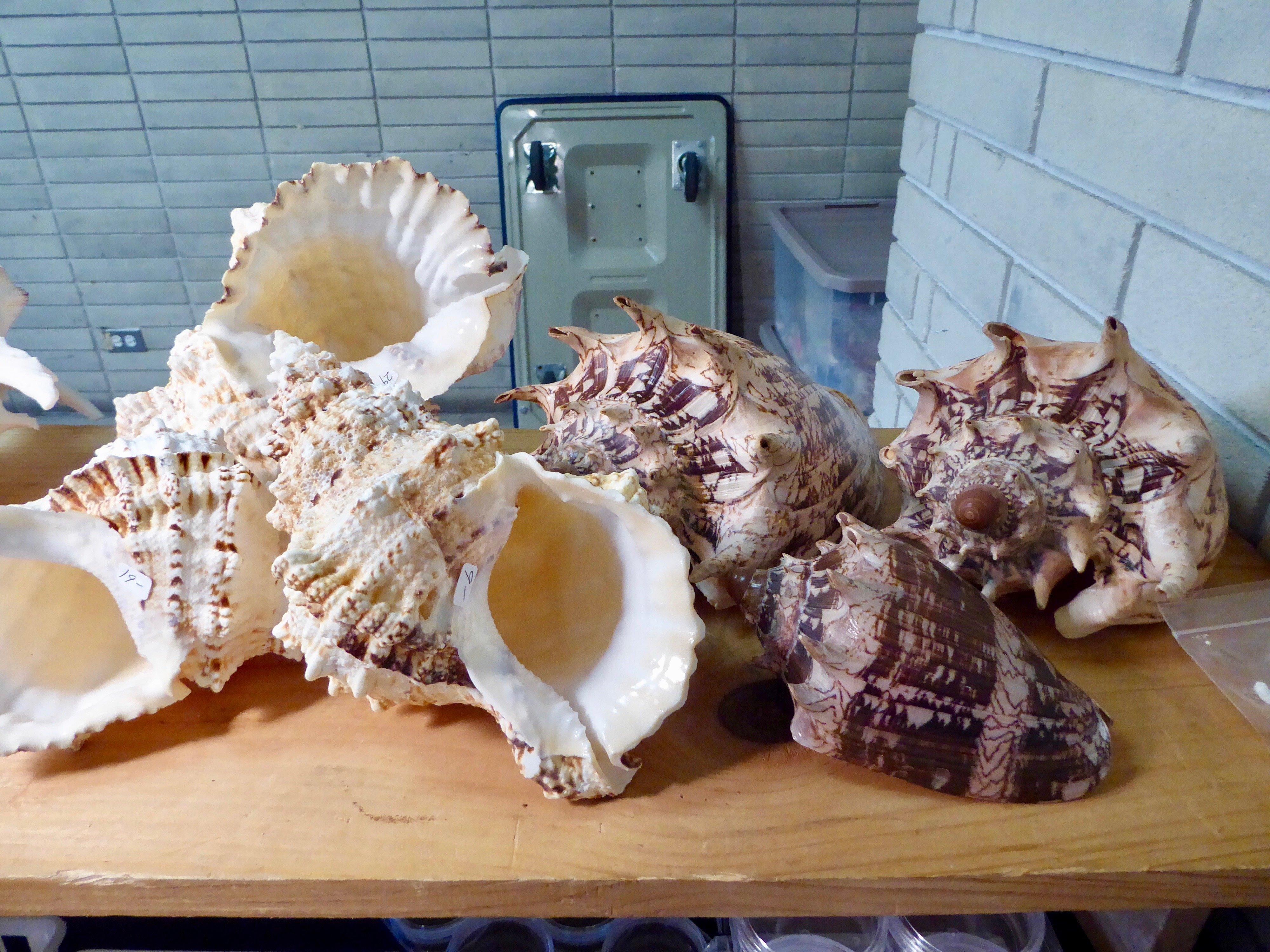 Photo by N7818OQsuep