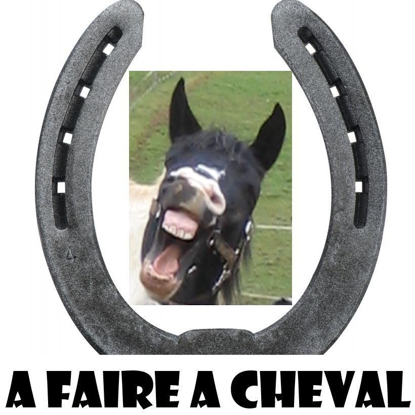 sarl A Faire a Cheval