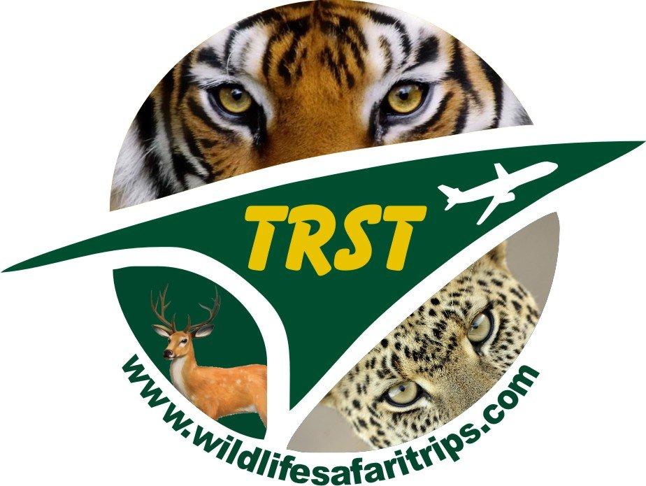 Wild Life Safari Trips
