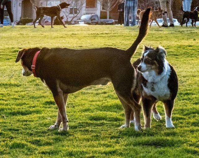 Cemetery Memorial Park
