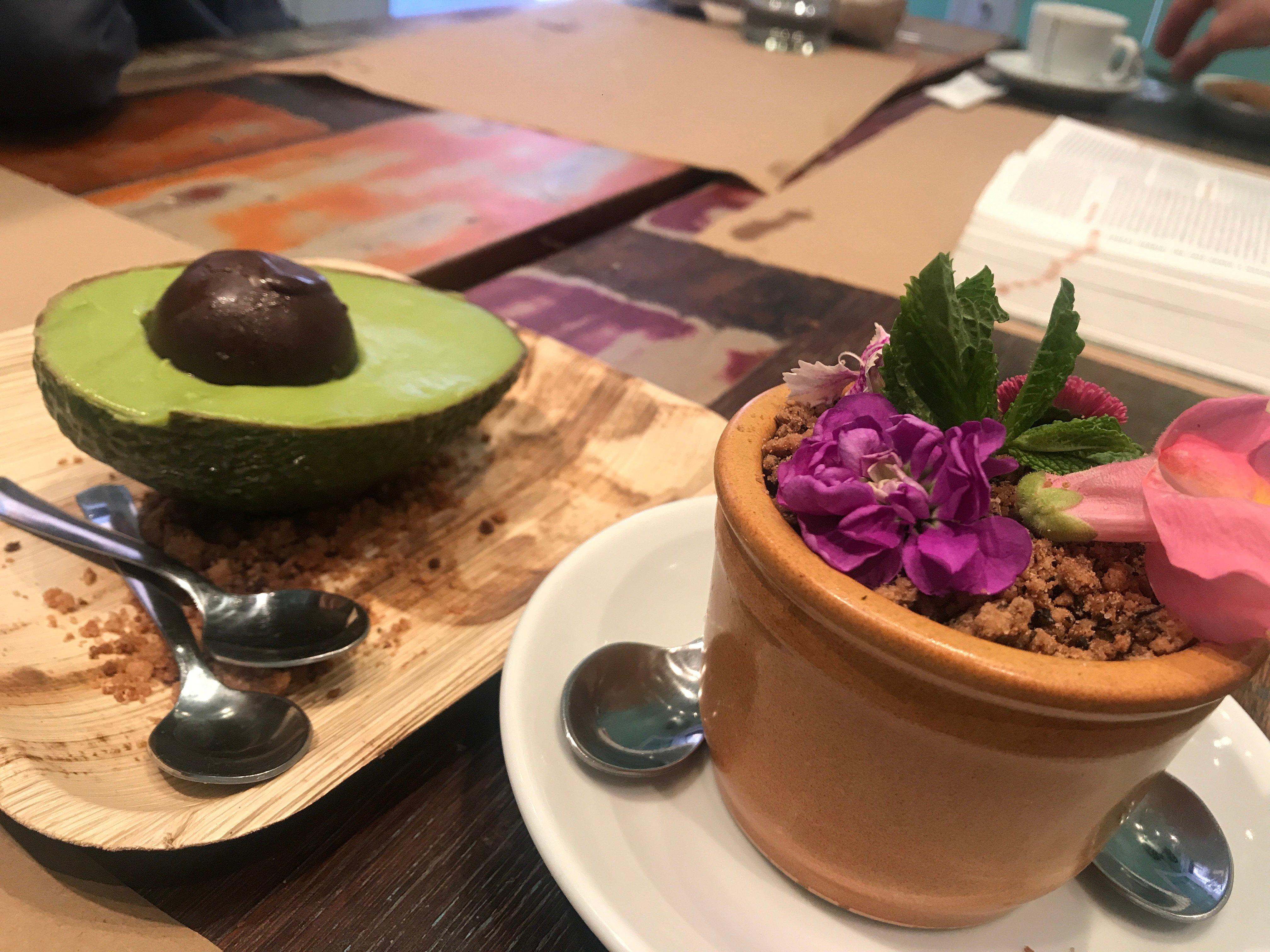 Koko El Rincon del Patron