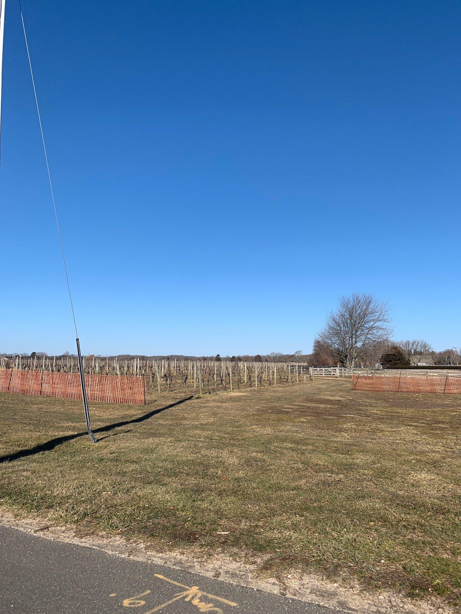 SagPond Vineyards