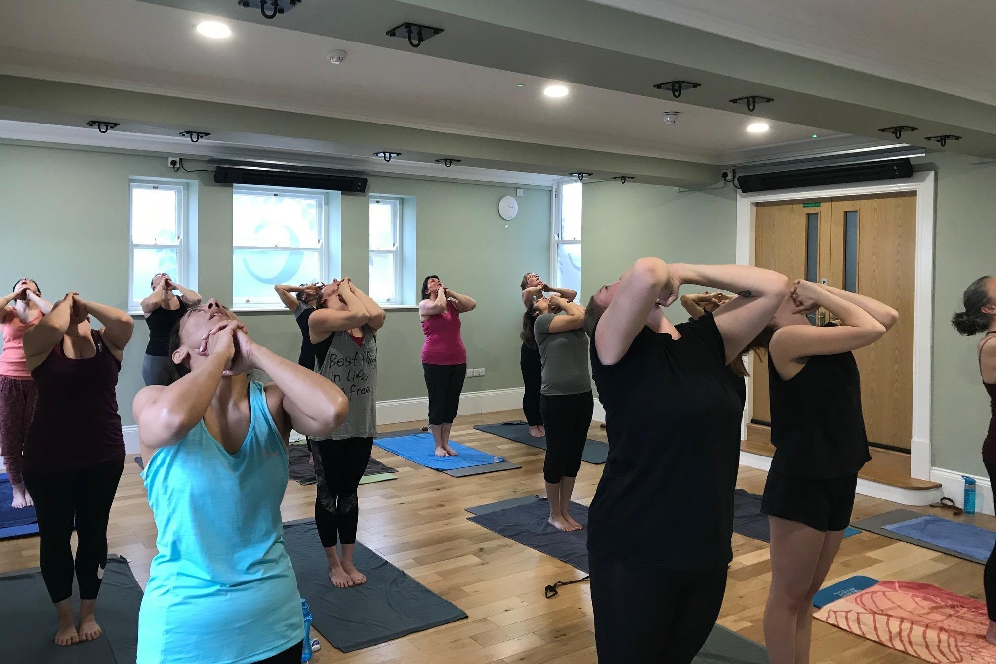 Connect Yoga and Wellness