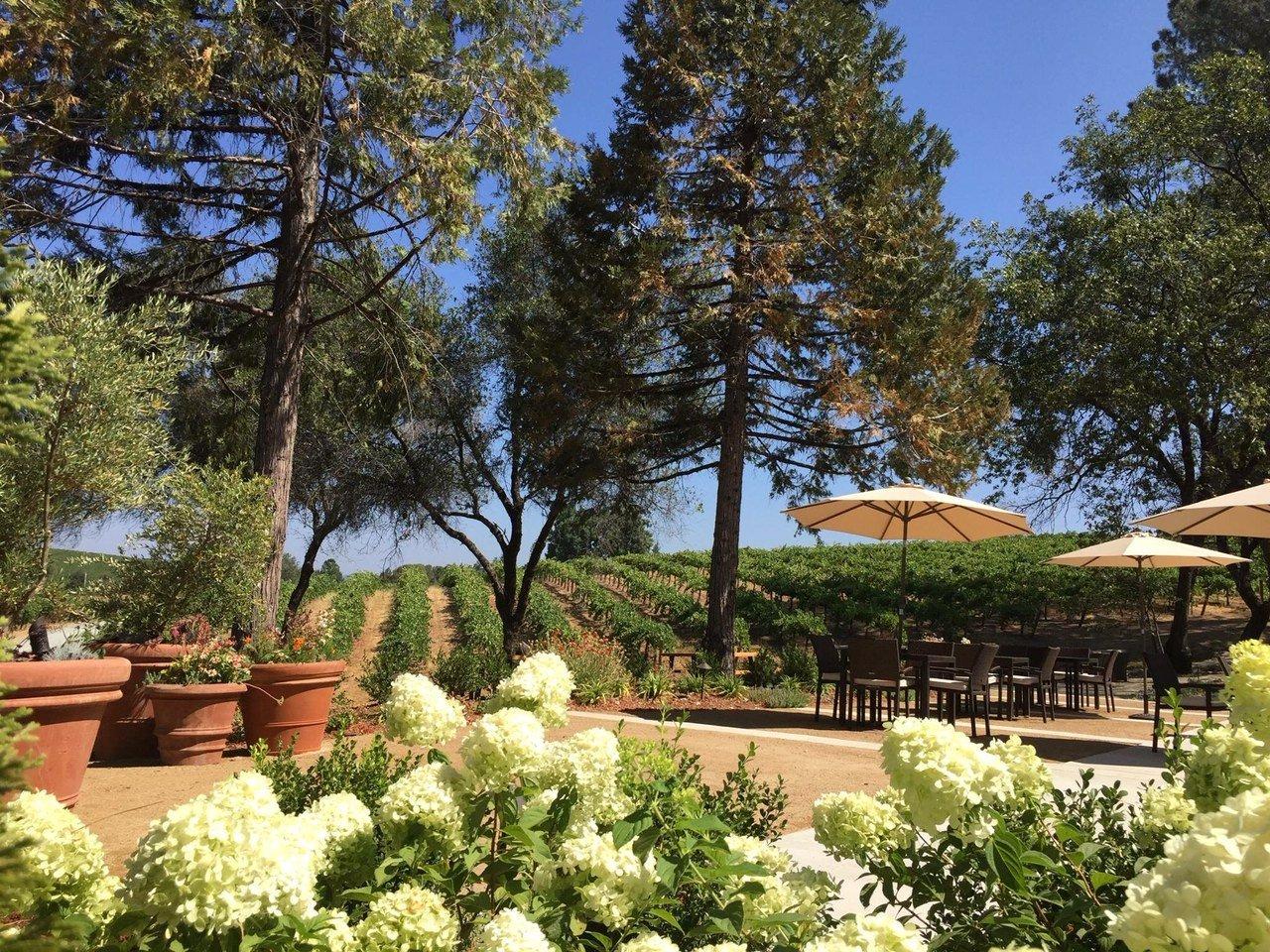 Sentivo Vineyards & Winery