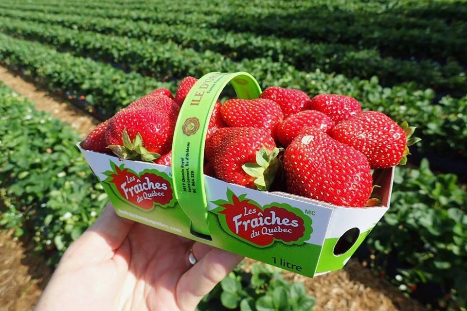 Ferme Francois Gosselin