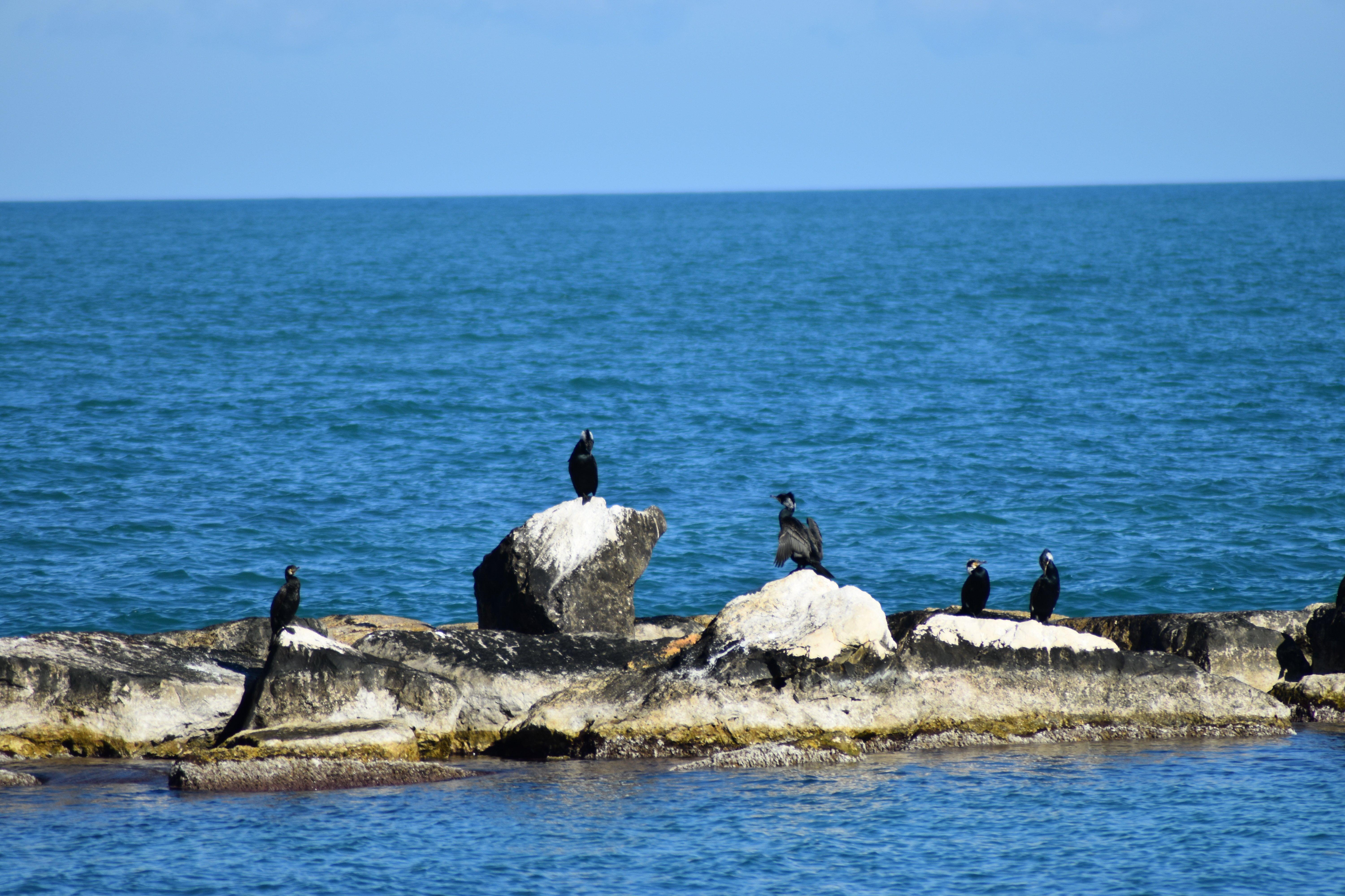 Lungomare Imperatore Augusto