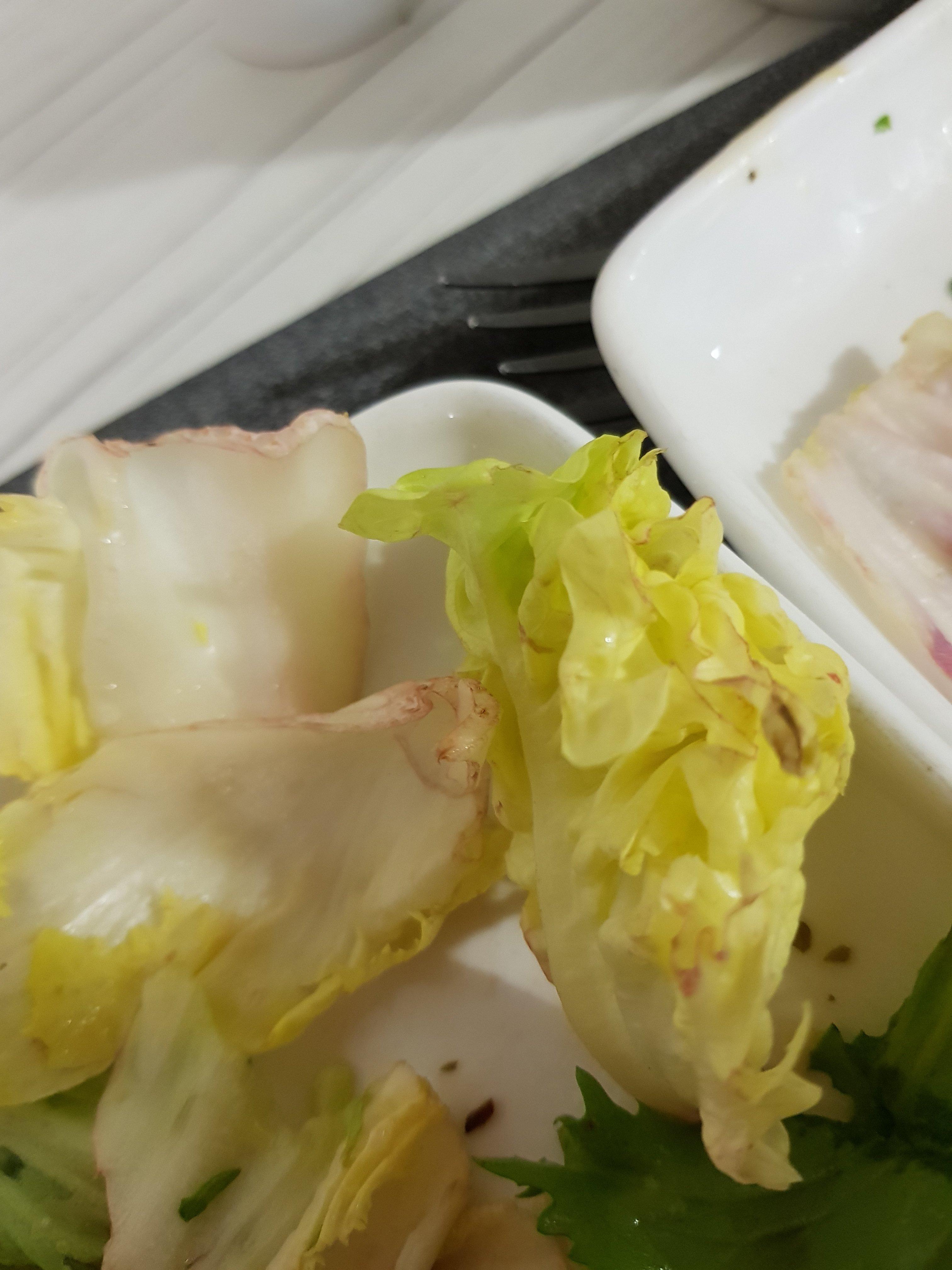 Photo by Fellwalkerlakes