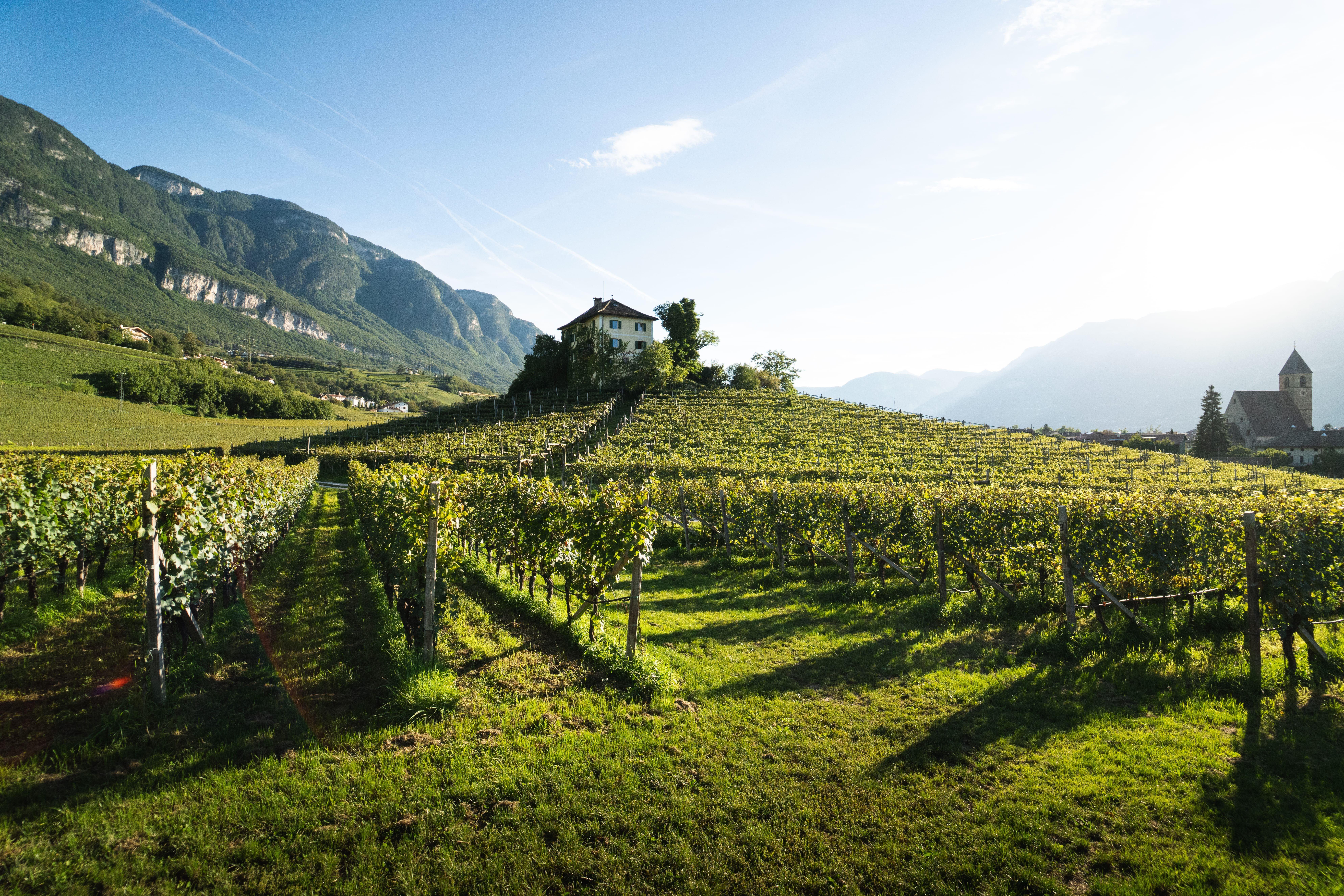 Castelfelder Tourism Association