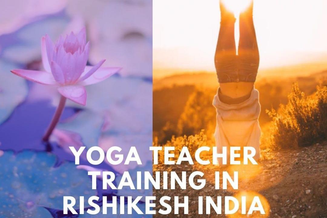 PURE SOUL YOGA SCHOOL