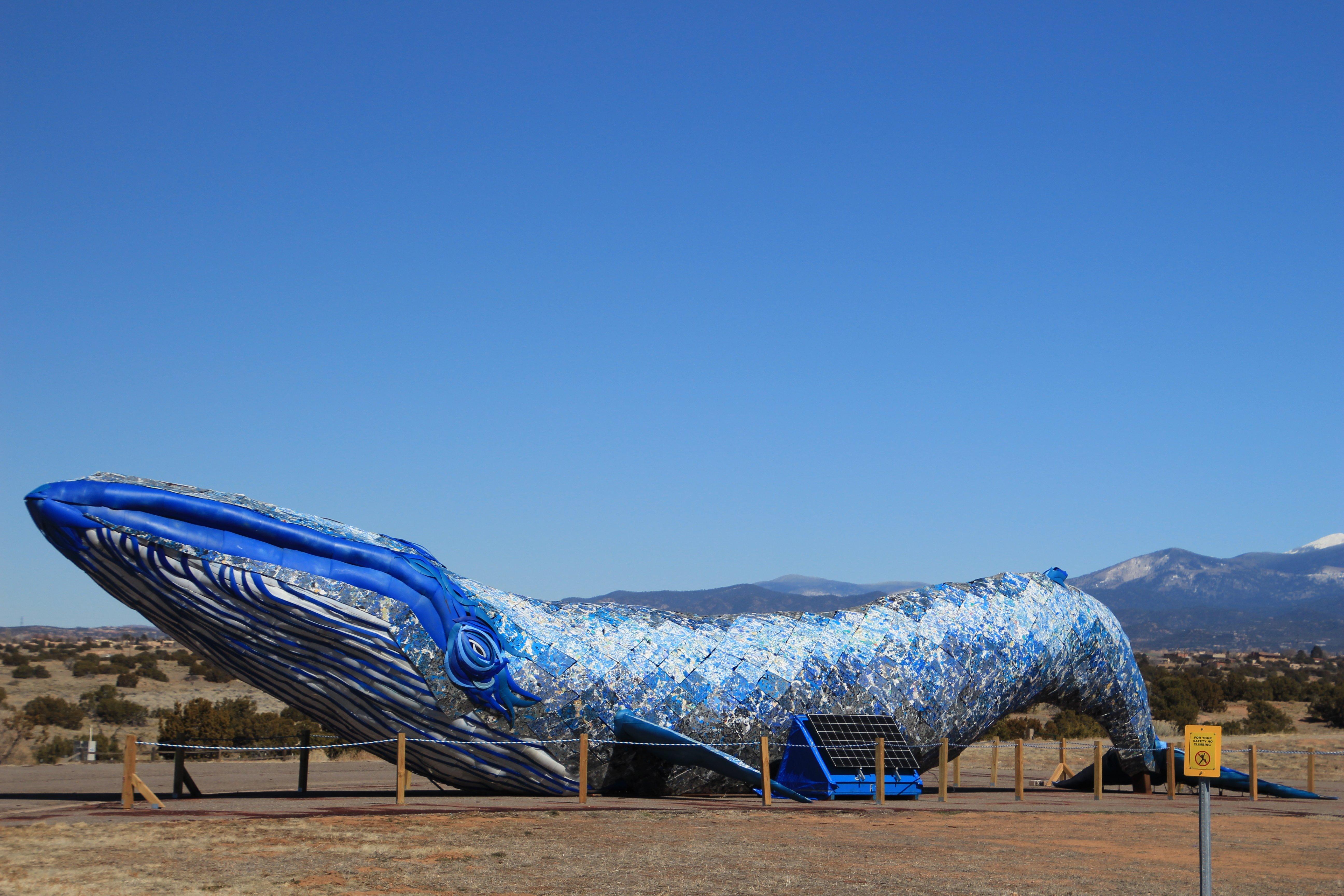 Photo by beachboywantabe