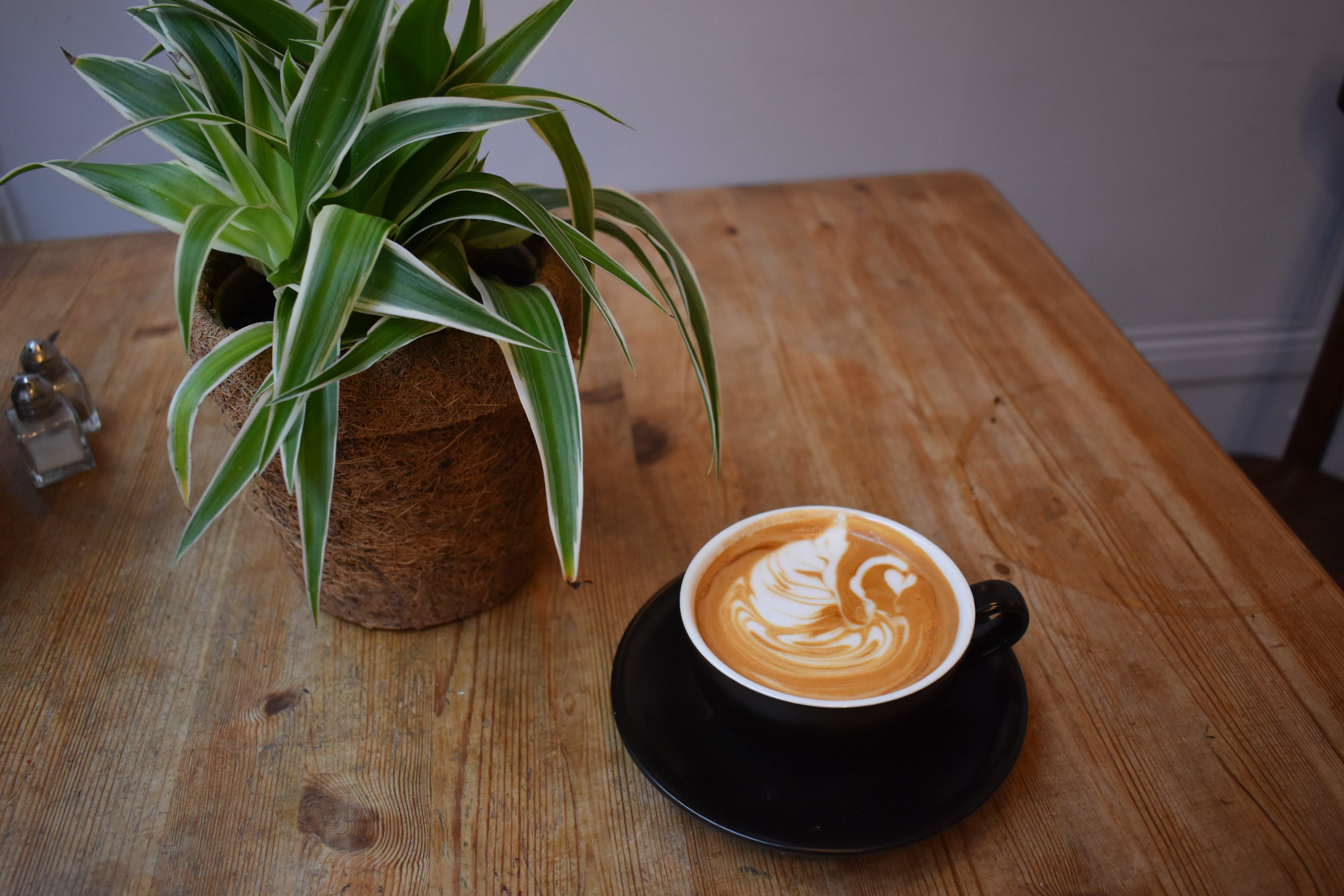 Garage Coffee Roasters