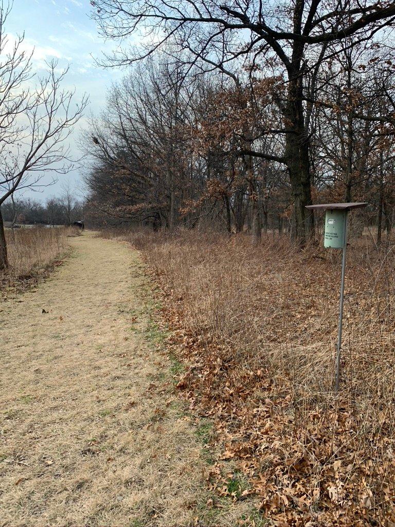 Wood Dale Grove Forest Preserve