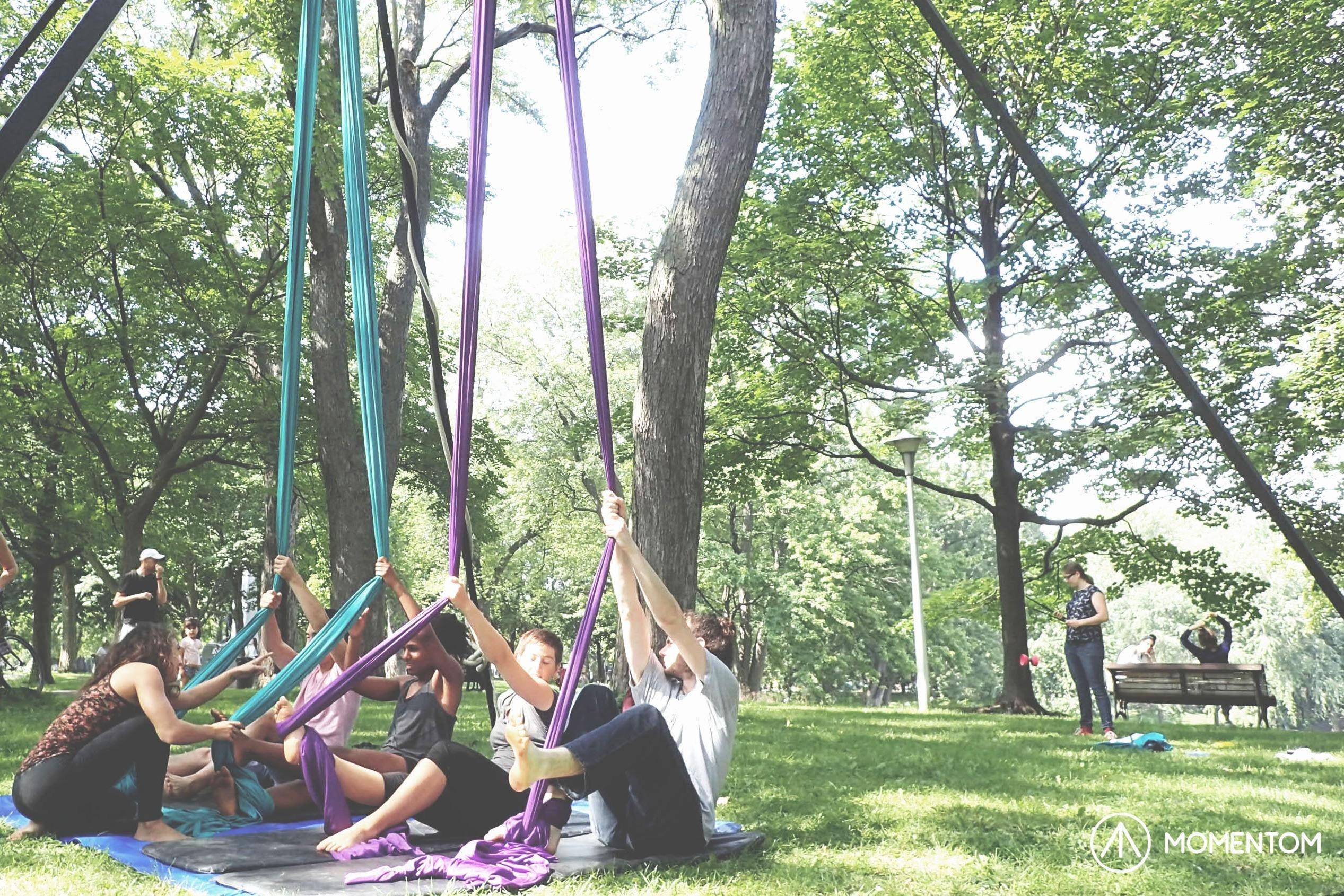 Aerial Silks: Circus Fitness & Leisure
