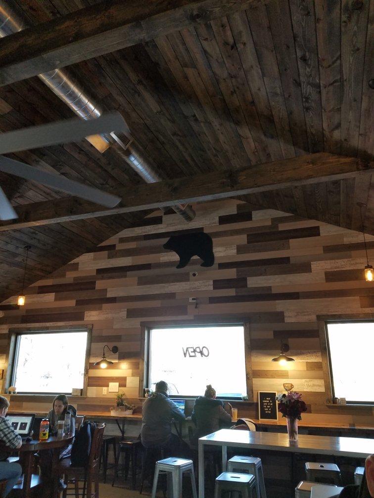 Little Bear Coffee Co.