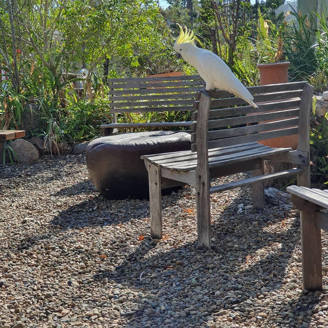 Cafe in the Mountains