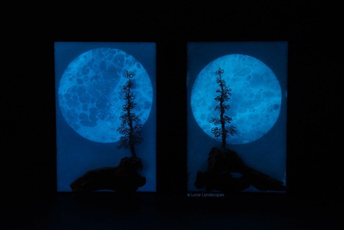 Fallen Leaf Art Gallery