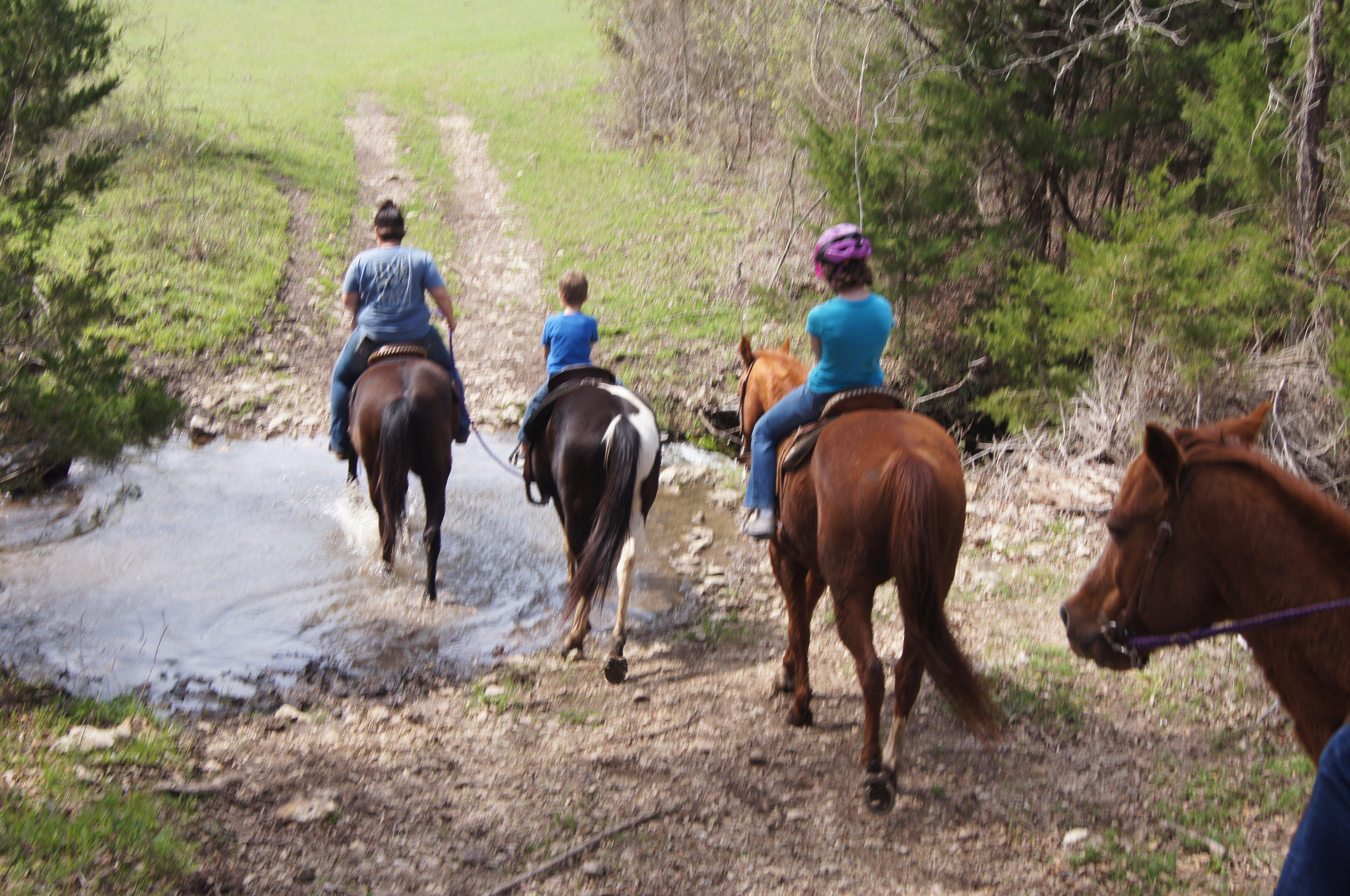 Draggin' H Ranch Group