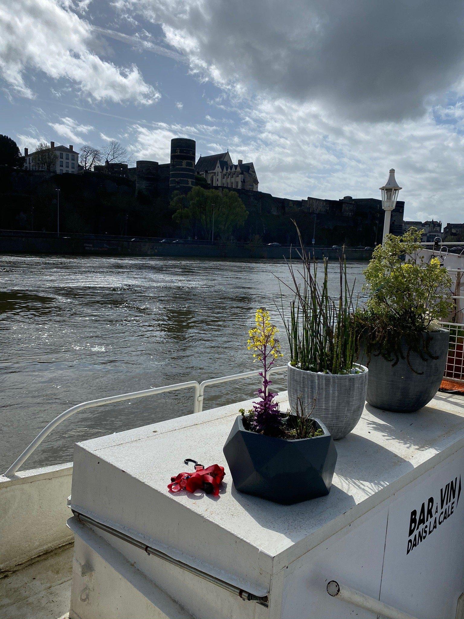 Photo by CatherineB4923