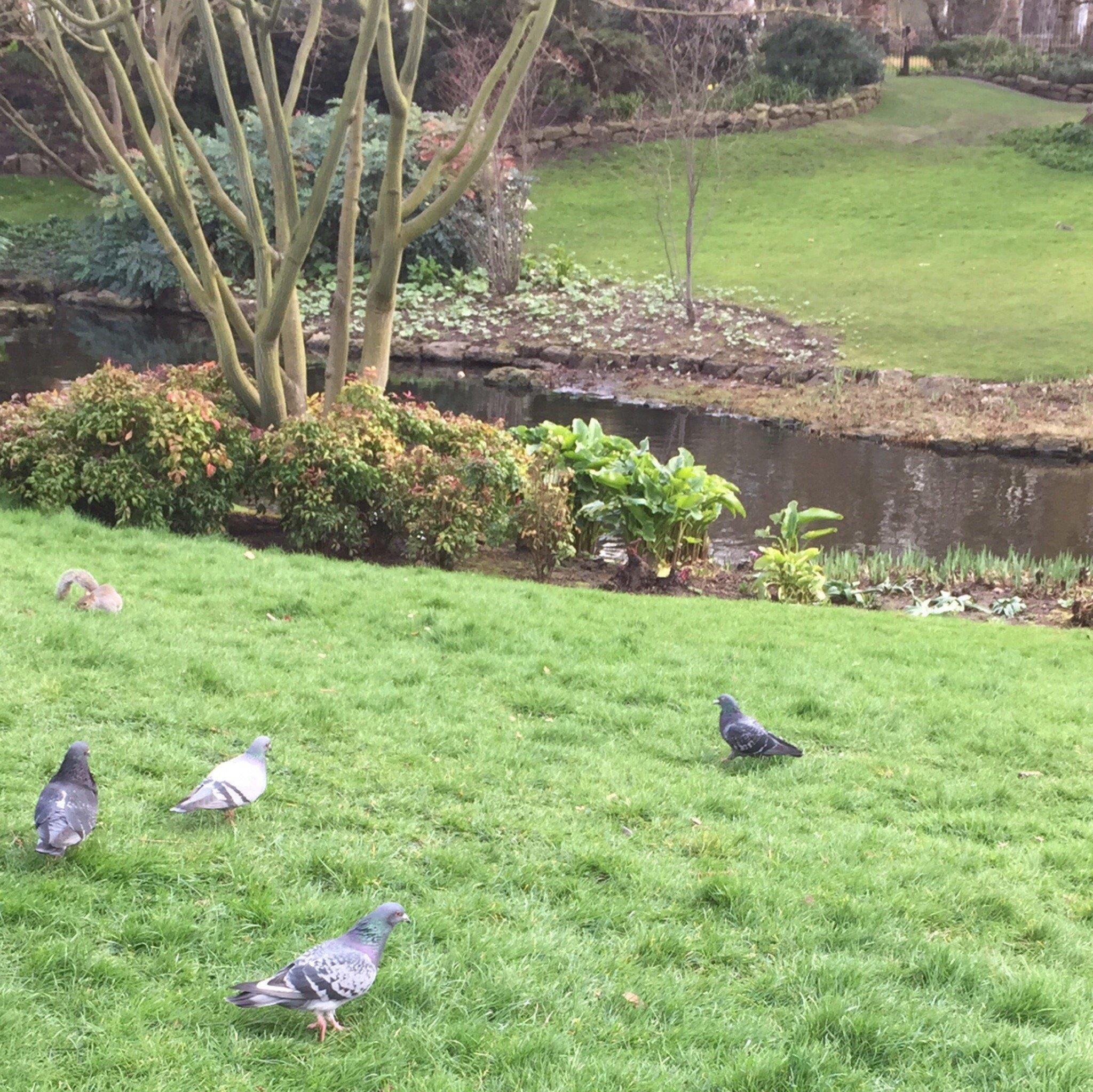 London Queen's - Hyde Park