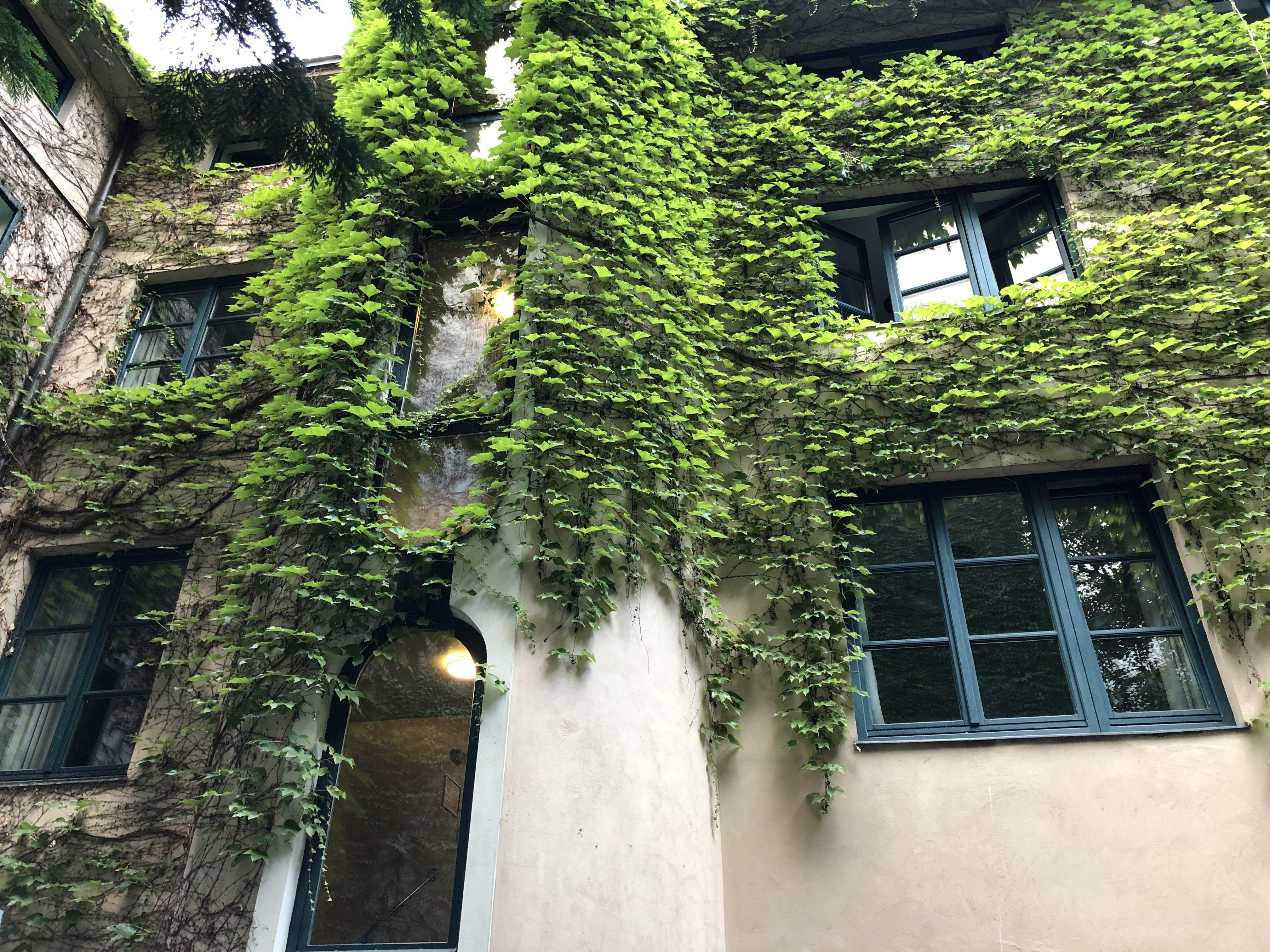 Photo by Тони Т