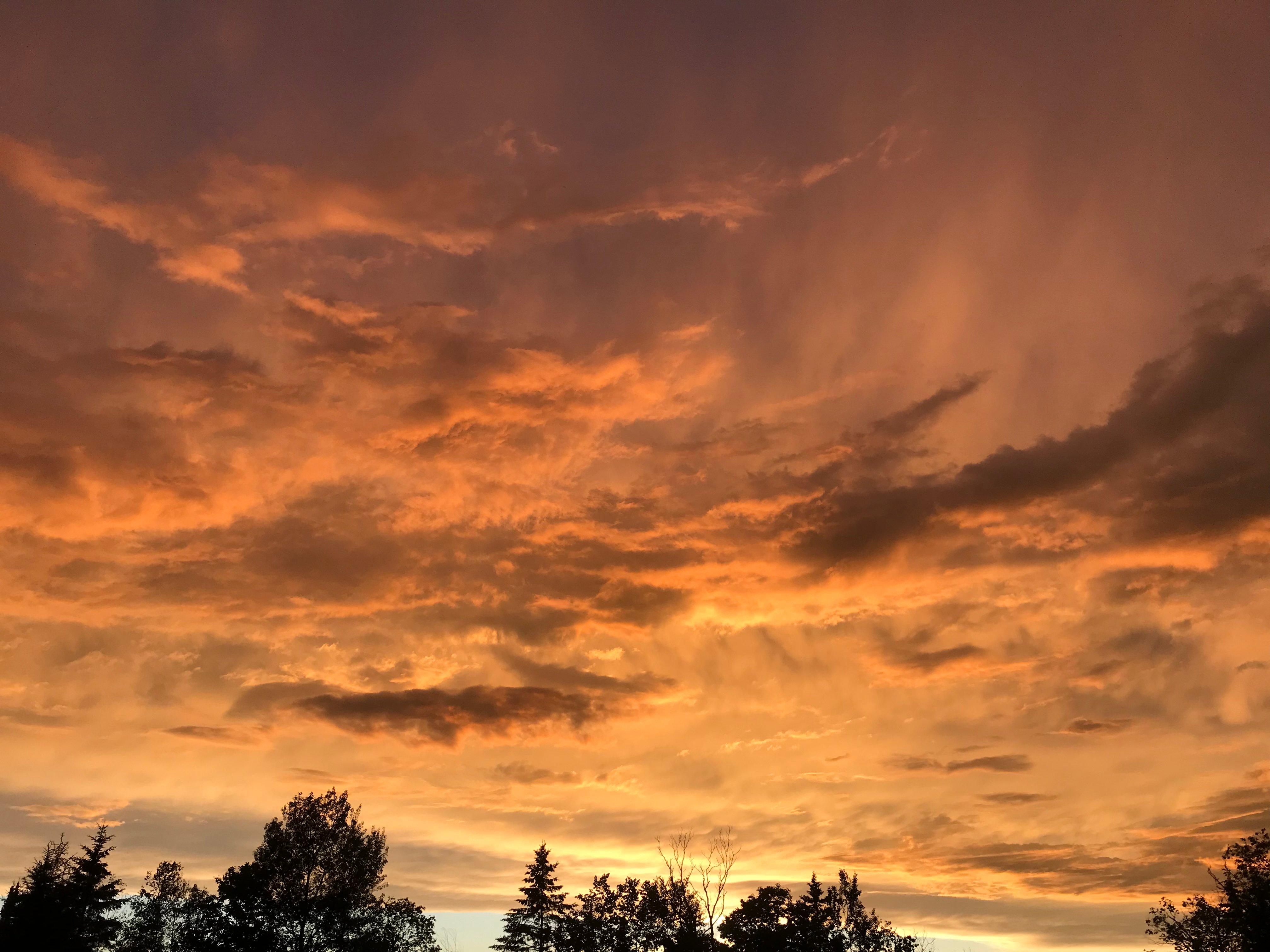 Vermont Freedom Adult Only Campground