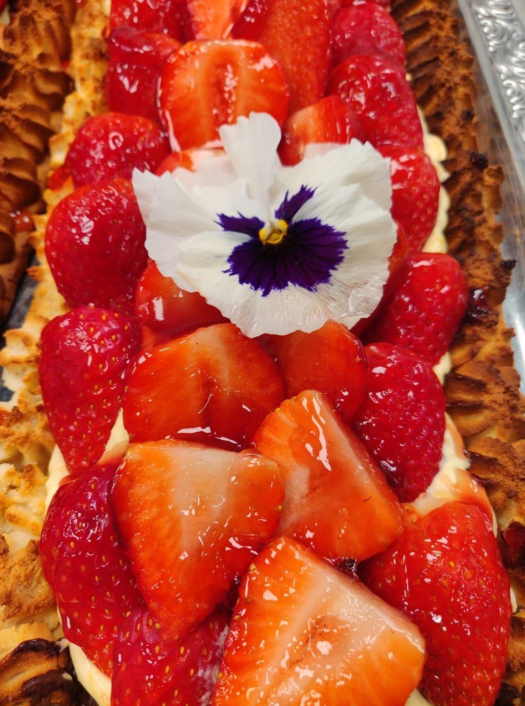 Photo by cristinapU9769IS