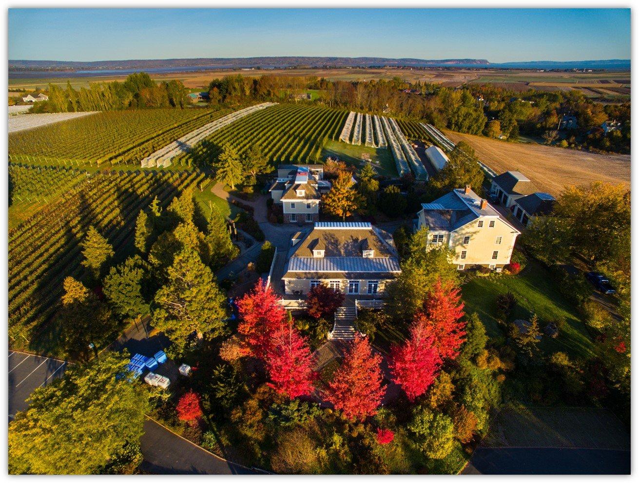 Domaine de Grand Pre