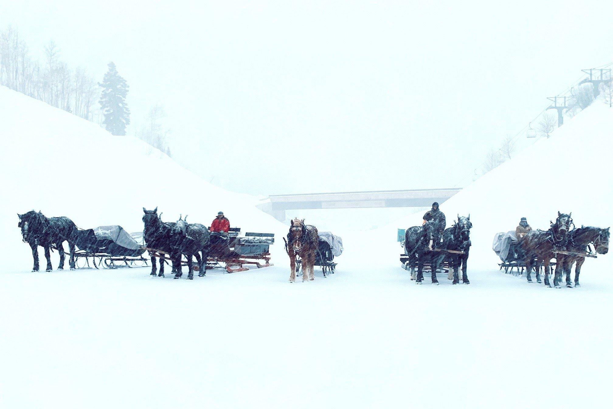 Sleigh rides at Deer Valley Ski Resort
