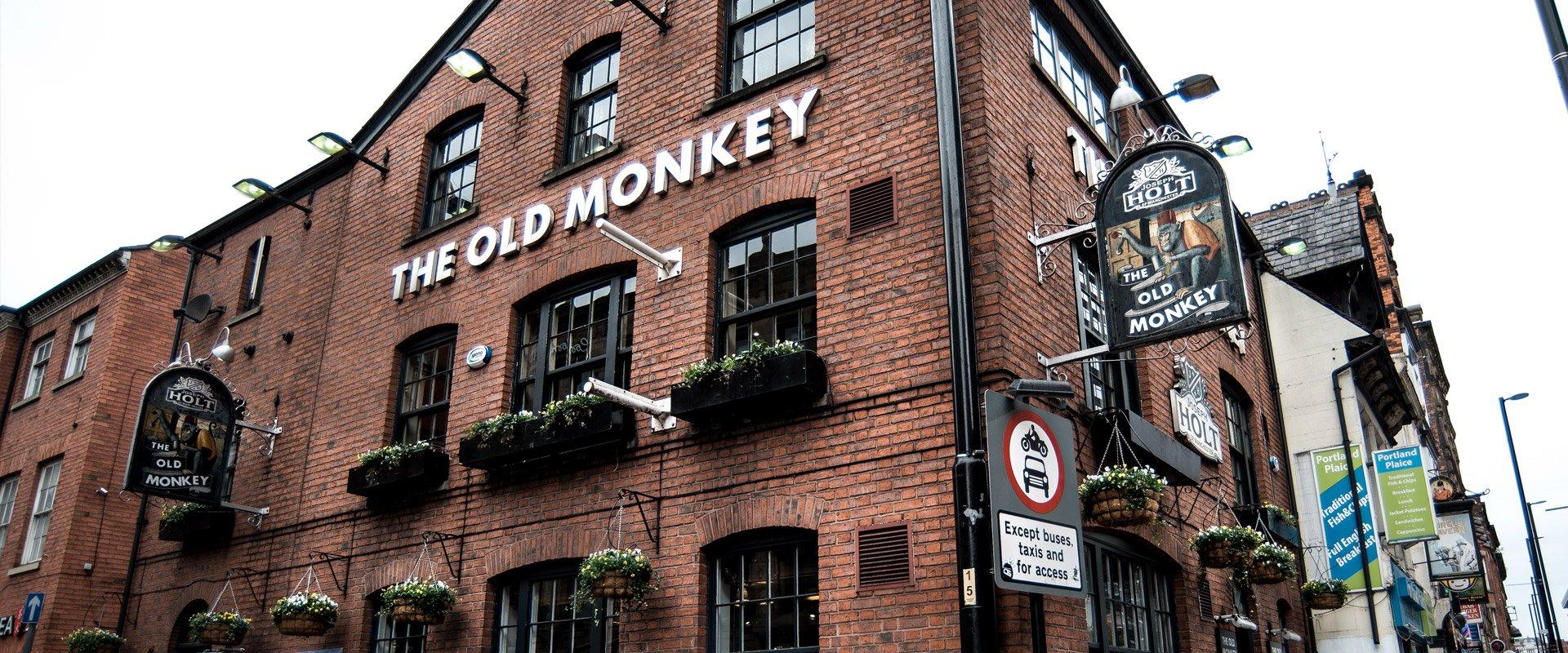 The Old Monkey