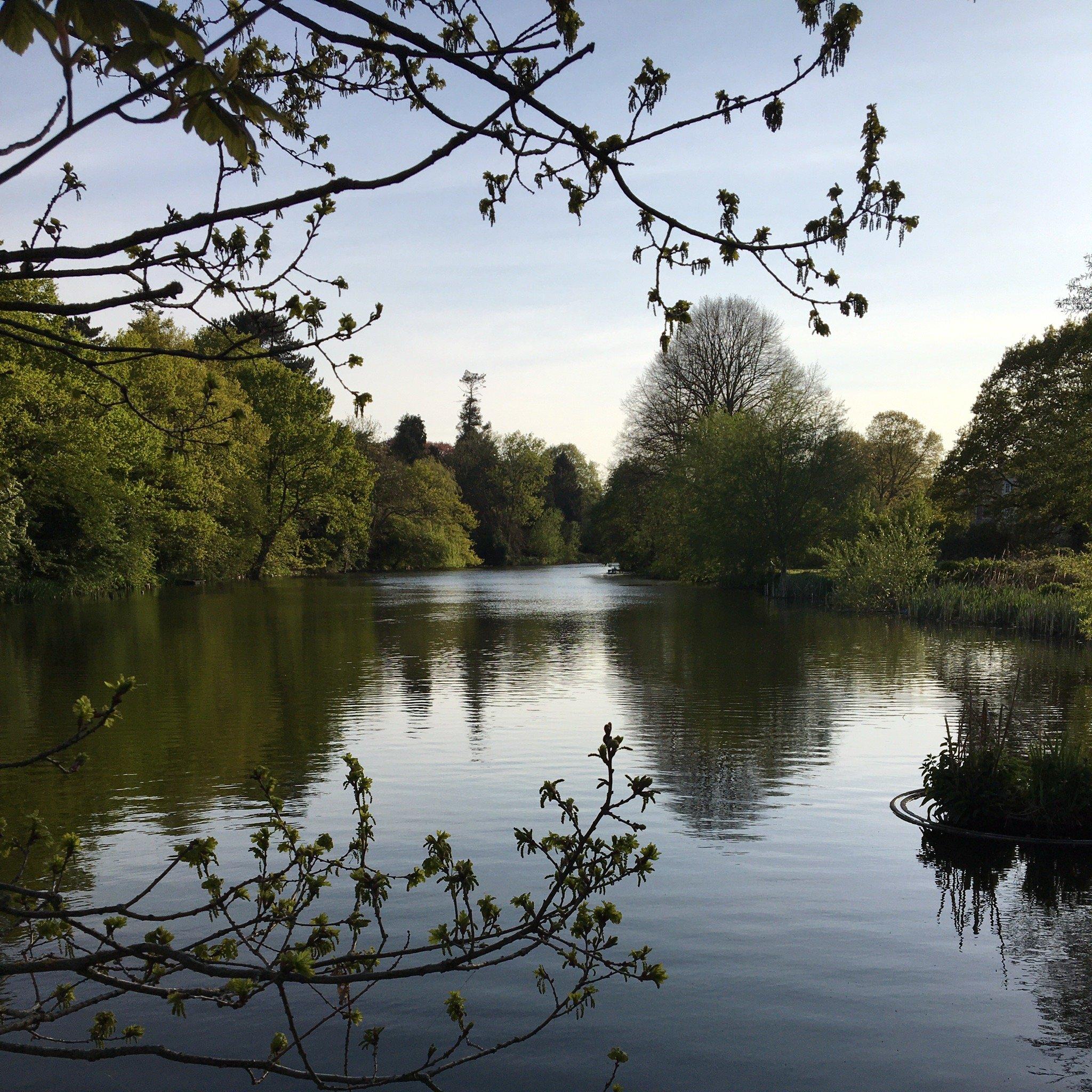 Photo by martinsQ6334NU