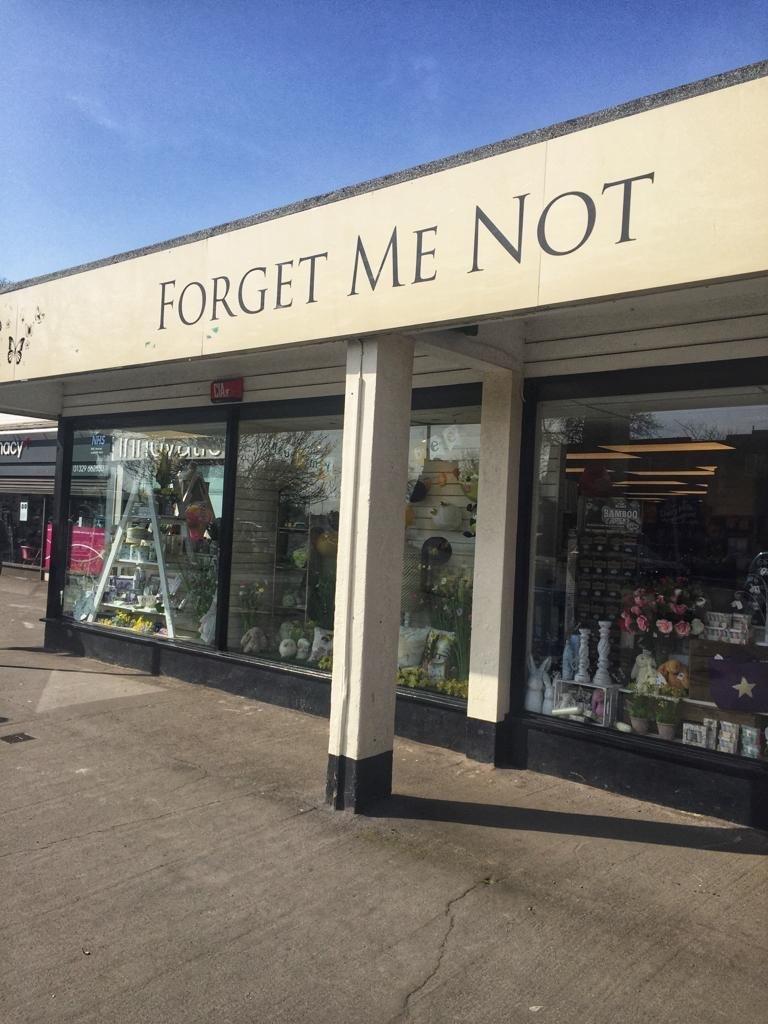 Forget Me Not