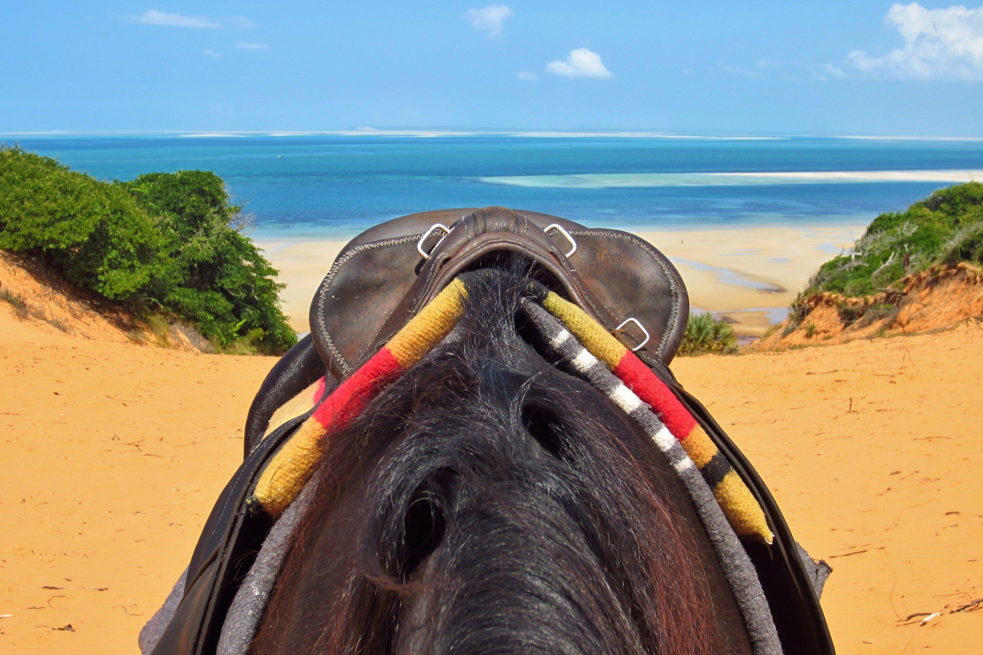 horseXperiences™ | GO EQUESTRIAN