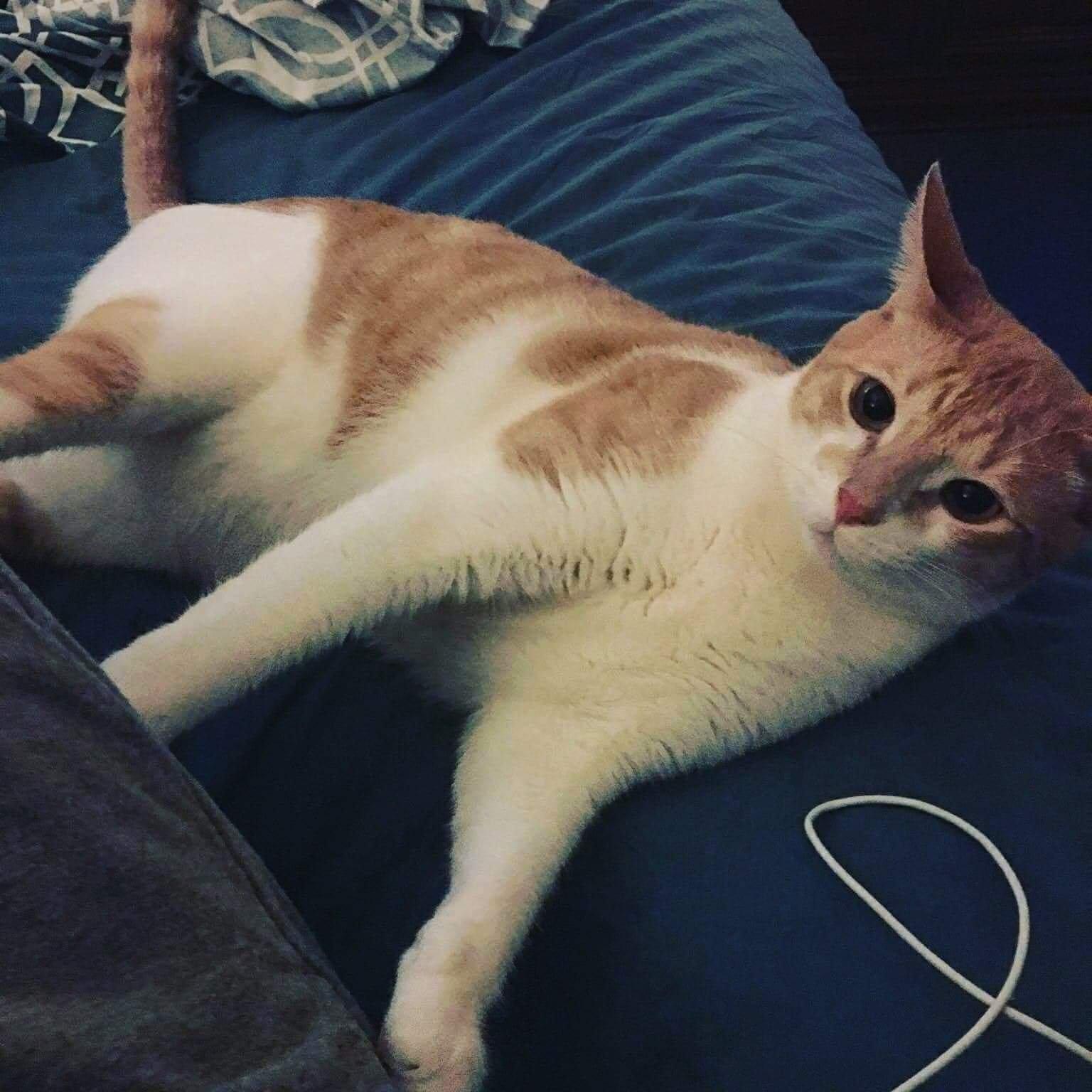 Photo by charleslH2042UE